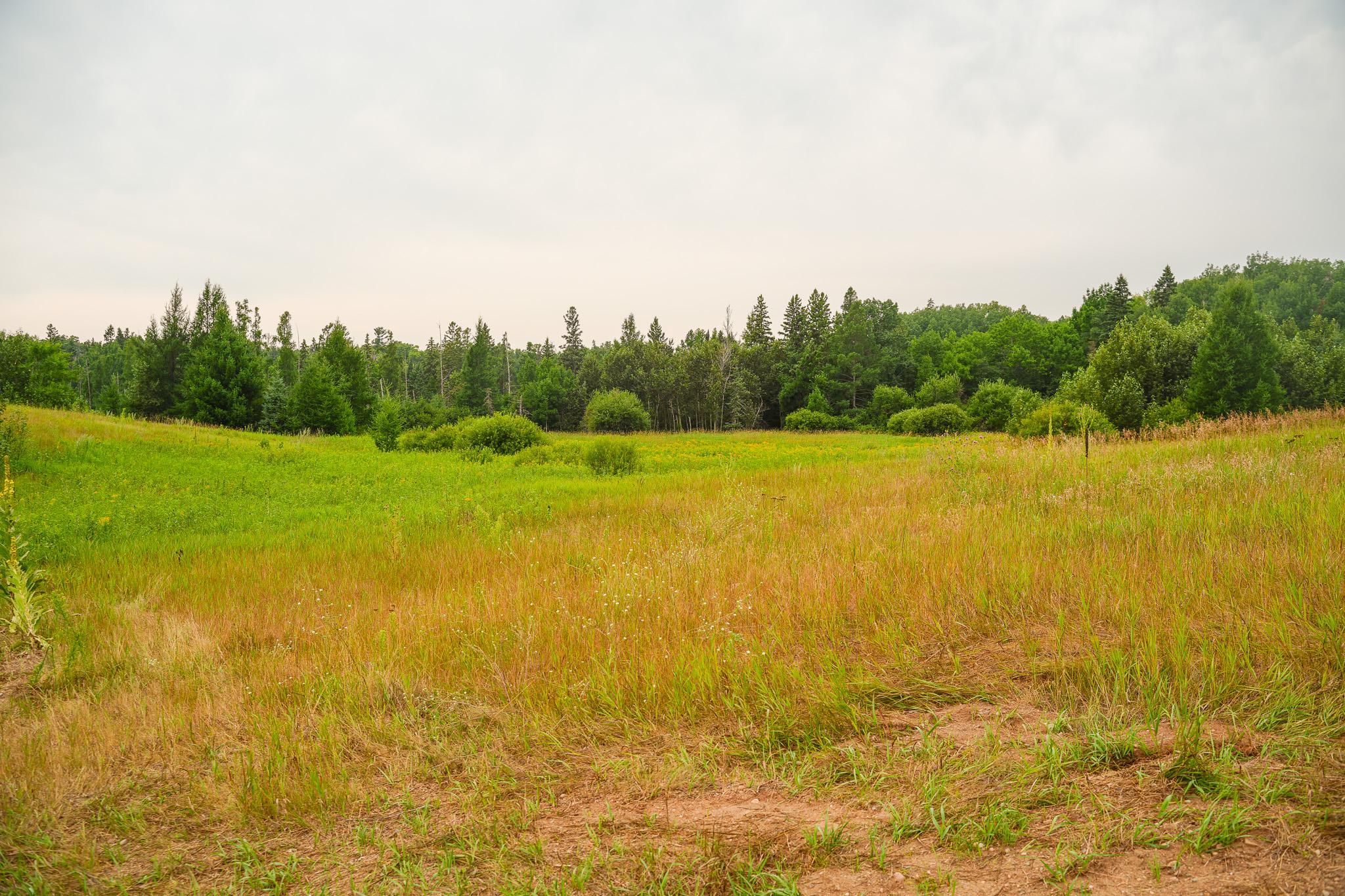 TBD Wilderness Drive, Frazee MN 56544 - Photo 36 of 85