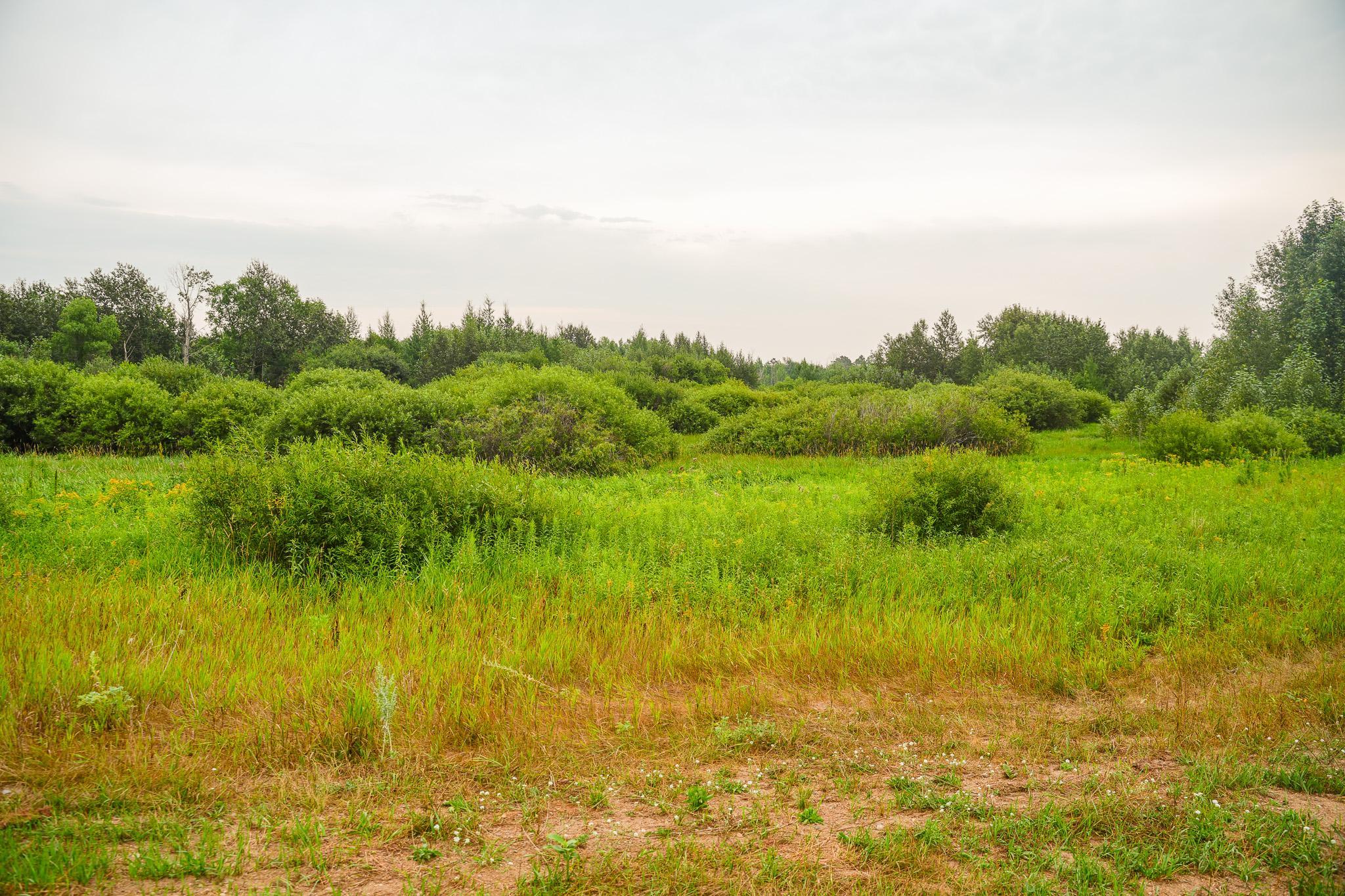 TBD Wilderness Drive, Frazee MN 56544 - Photo 37 of 85
