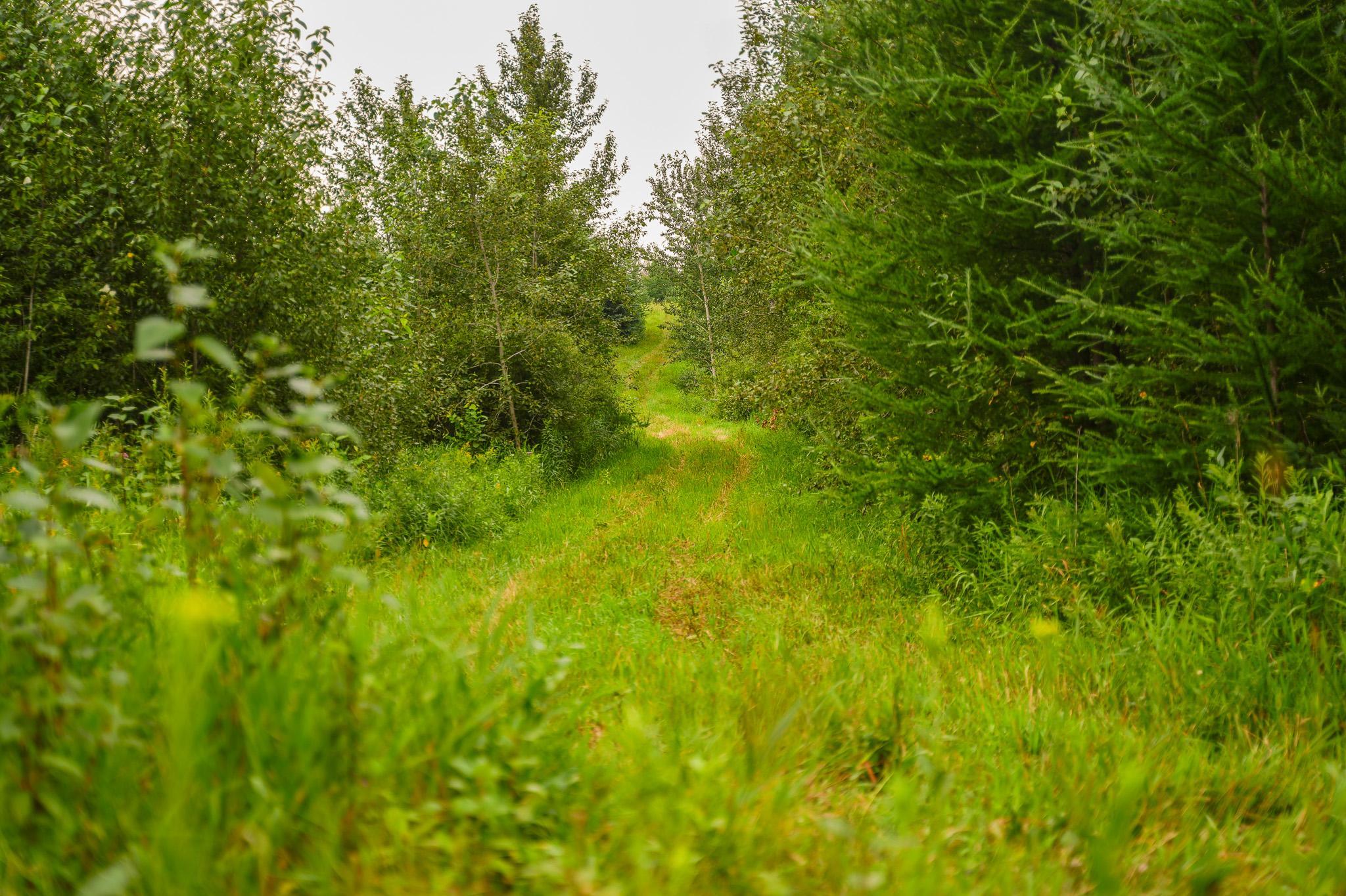 TBD Wilderness Drive, Frazee MN 56544 - Photo 40 of 85