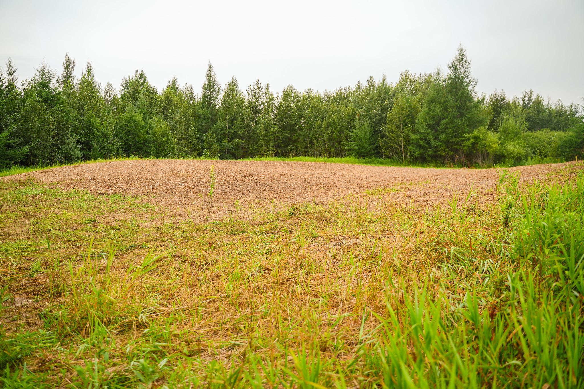 TBD Wilderness Drive, Frazee MN 56544 - Photo 41 of 85