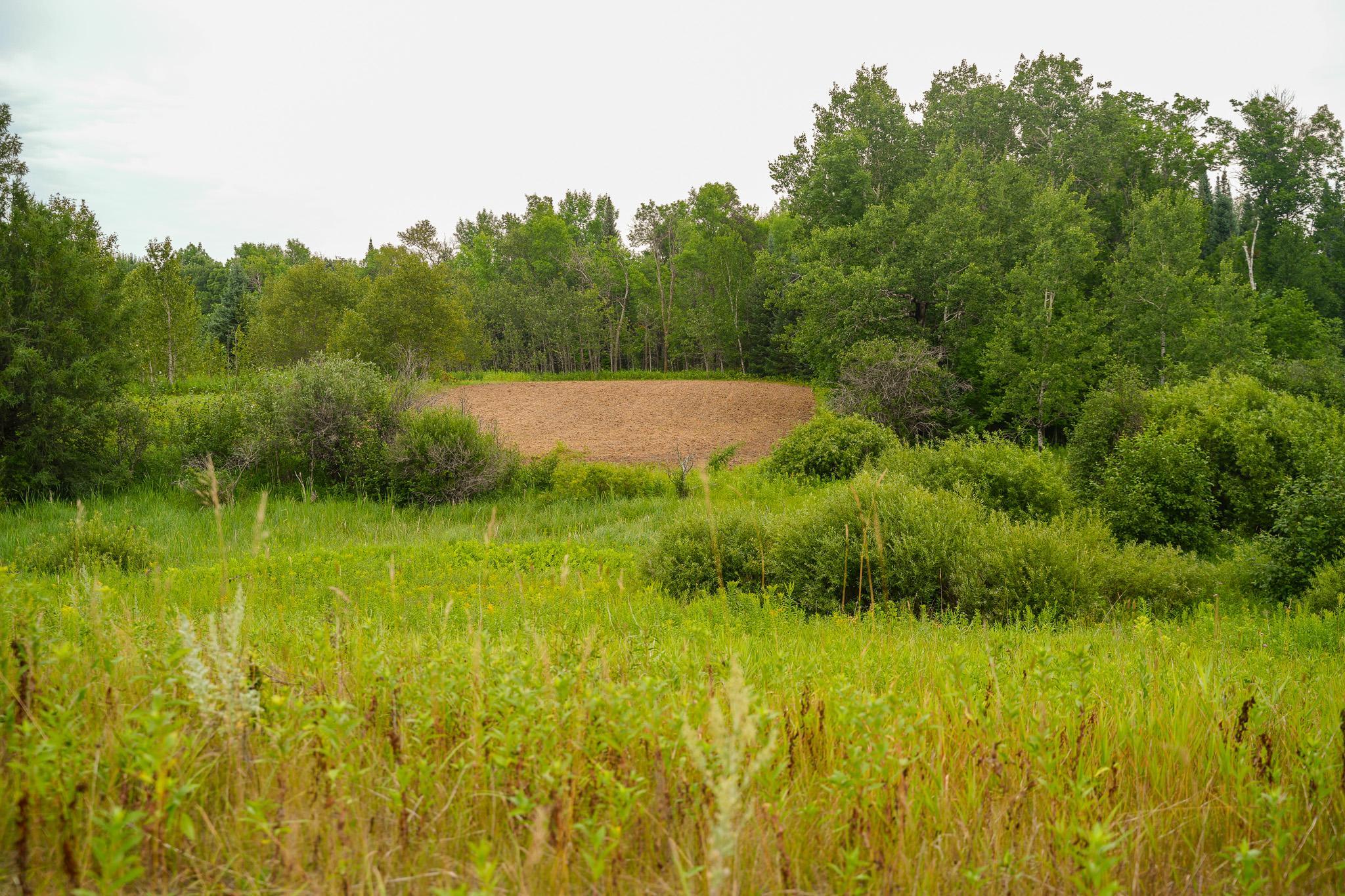 TBD Wilderness Drive, Frazee MN 56544 - Photo 43 of 85