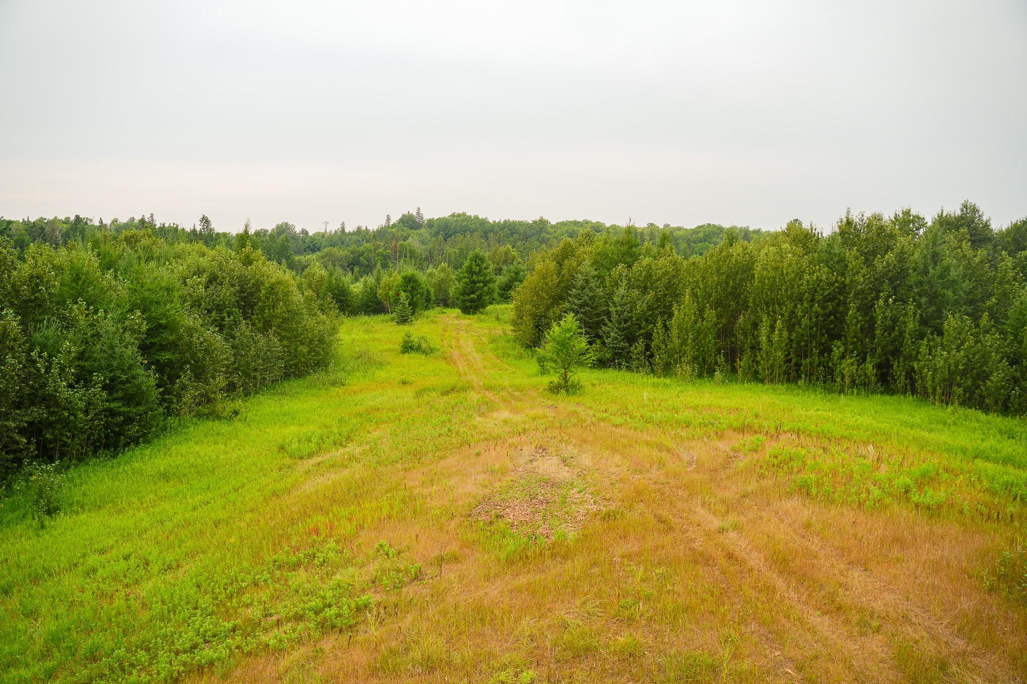 TBD Wilderness Drive, Frazee MN 56544 - Photo 45 of 85