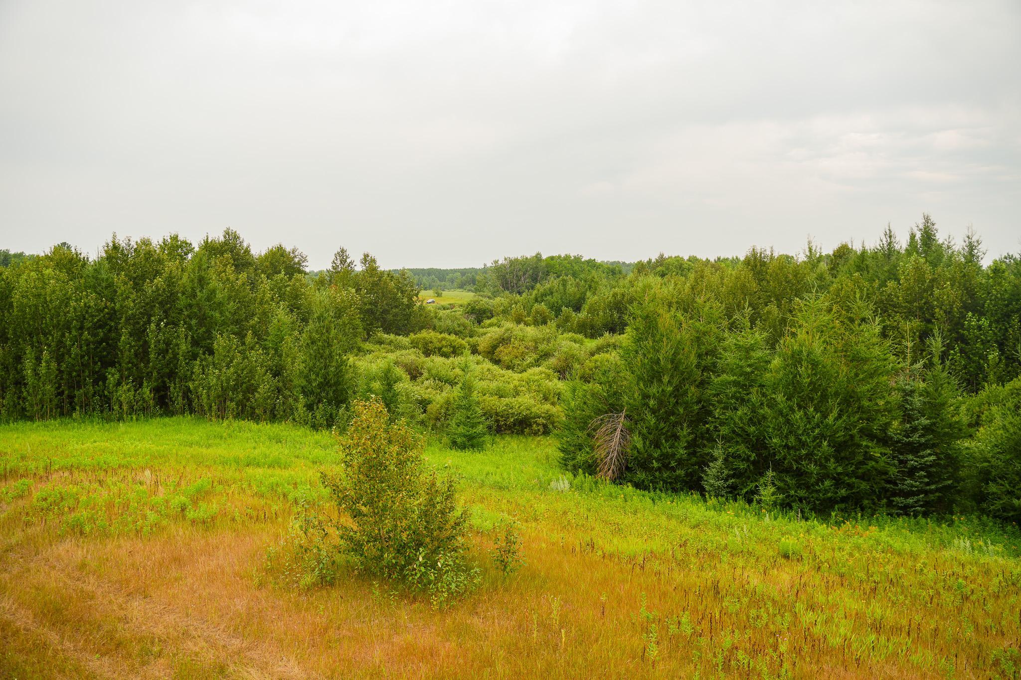 TBD Wilderness Drive, Frazee MN 56544 - Photo 46 of 85