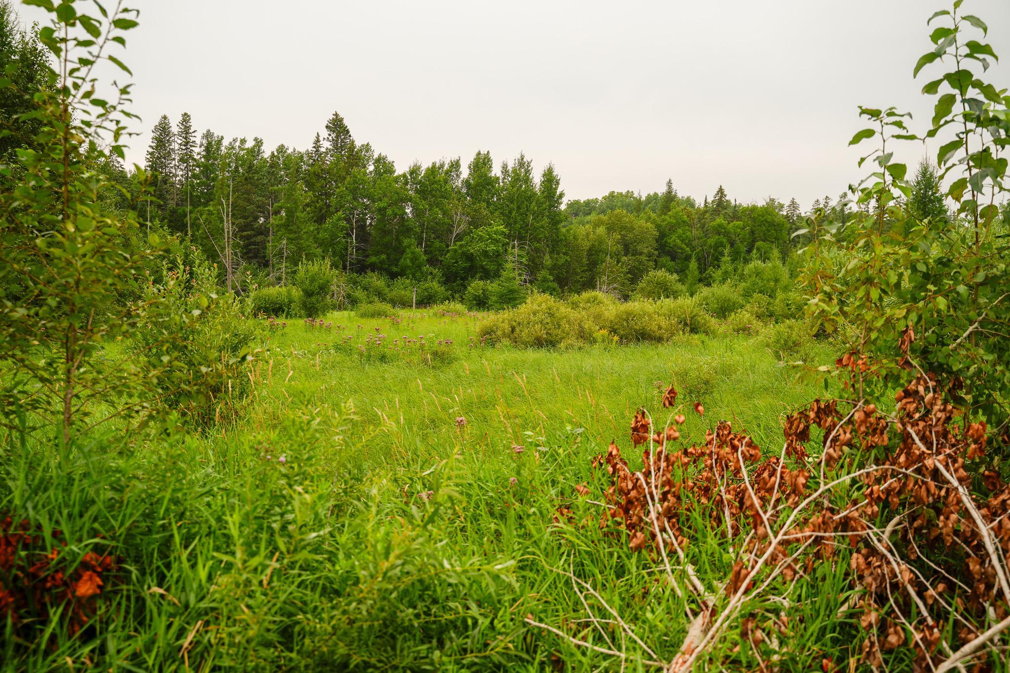 TBD Wilderness Drive, Frazee MN 56544 - Photo 48 of 85