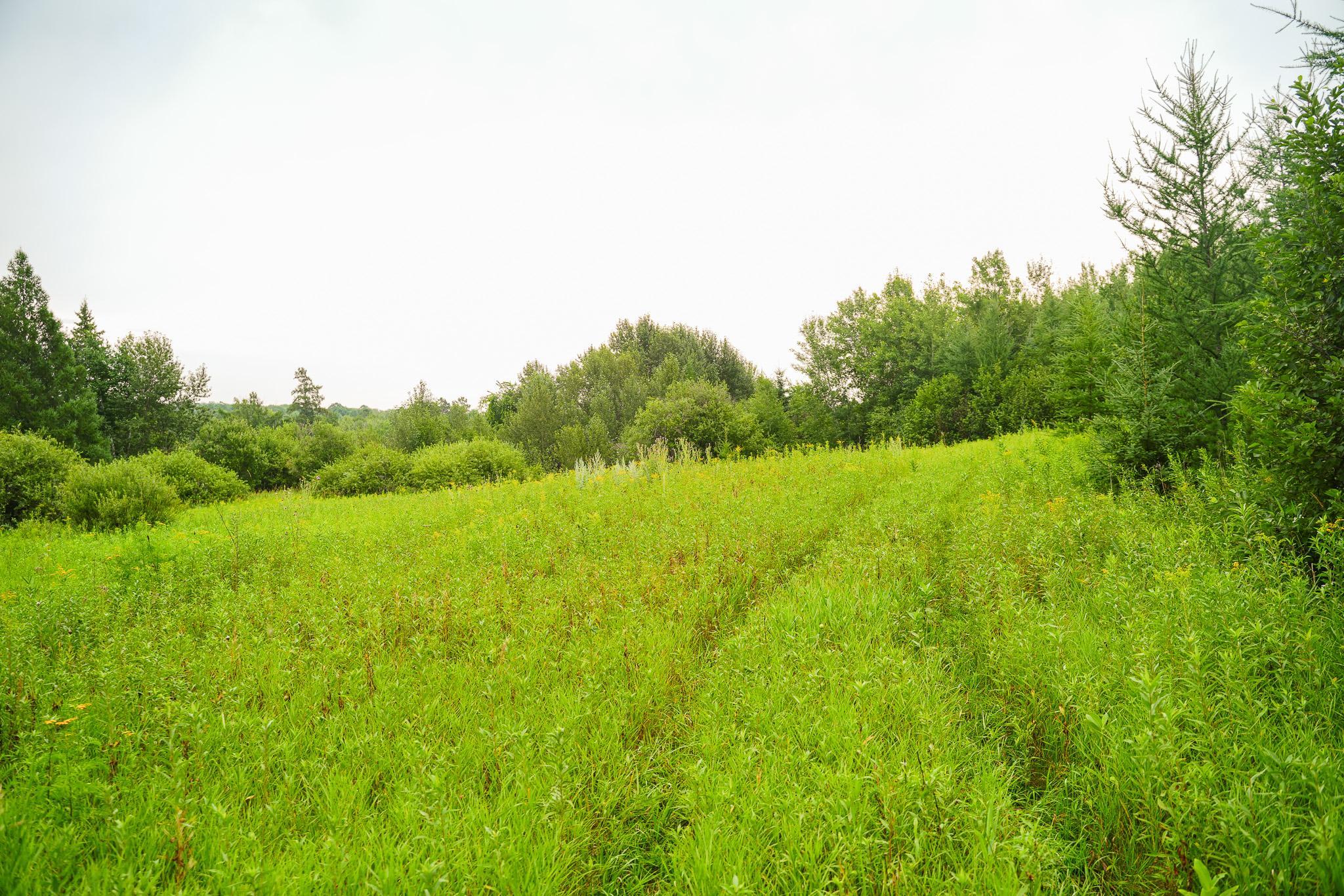 TBD Wilderness Drive, Frazee MN 56544 - Photo 49 of 85
