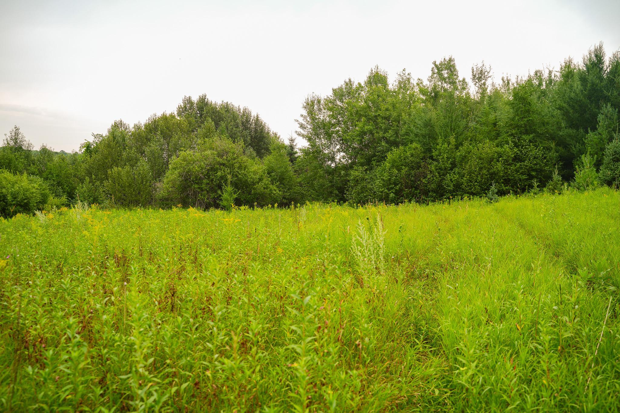 TBD Wilderness Drive, Frazee MN 56544 - Photo 50 of 85