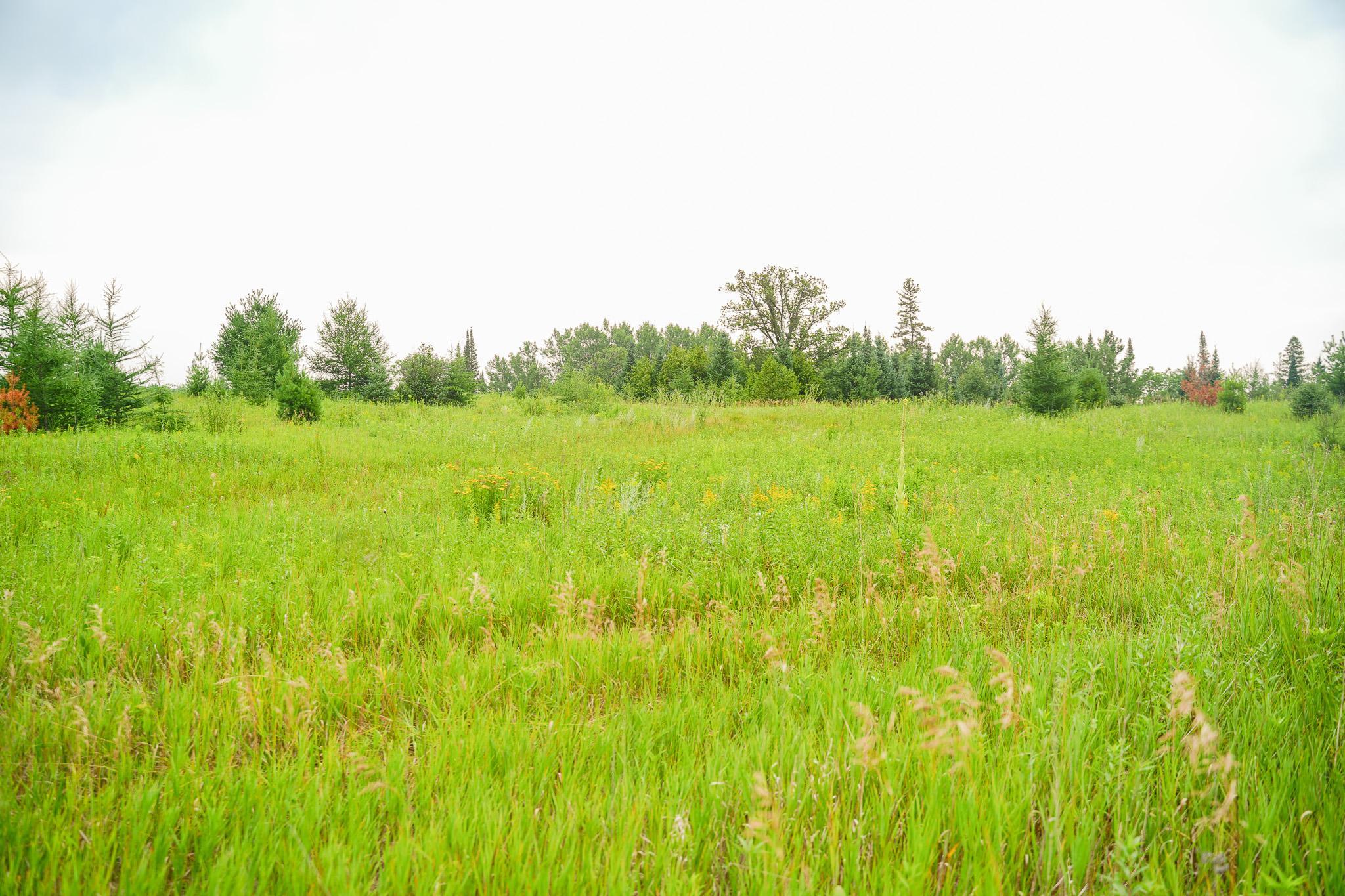 TBD Wilderness Drive, Frazee MN 56544 - Photo 51 of 85