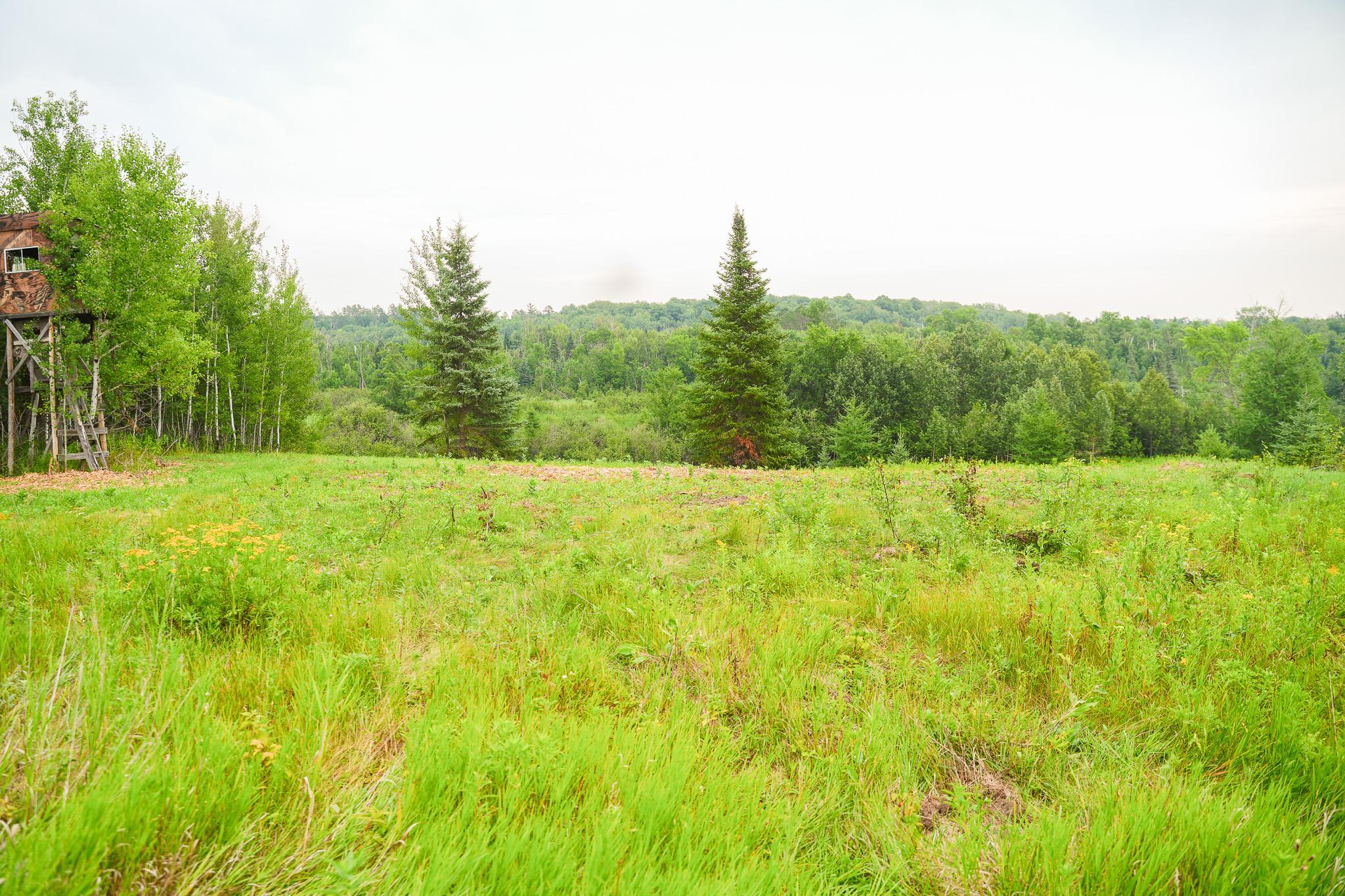 TBD Wilderness Drive, Frazee MN 56544 - Photo 53 of 85
