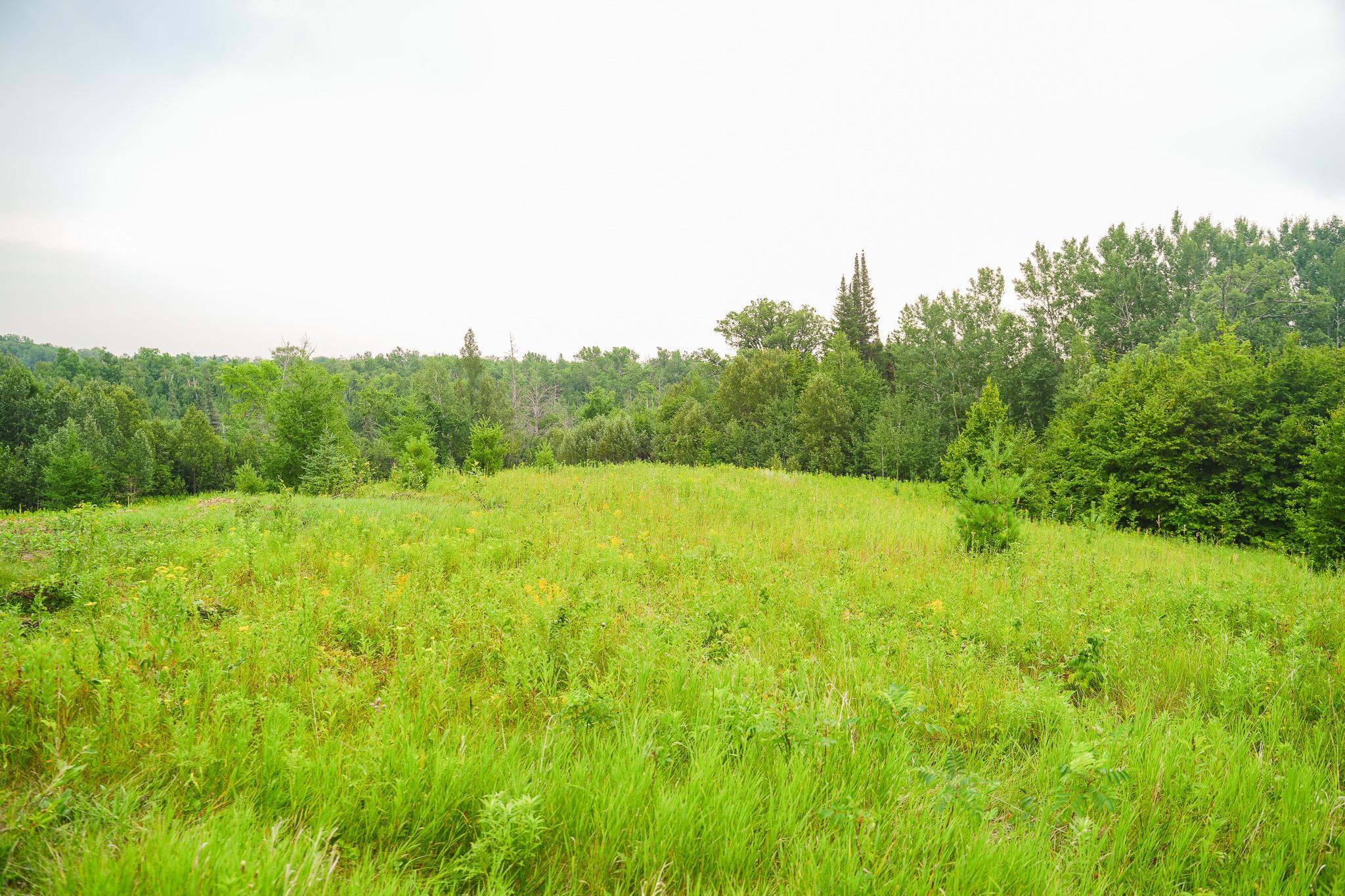 TBD Wilderness Drive, Frazee MN 56544 - Photo 54 of 85