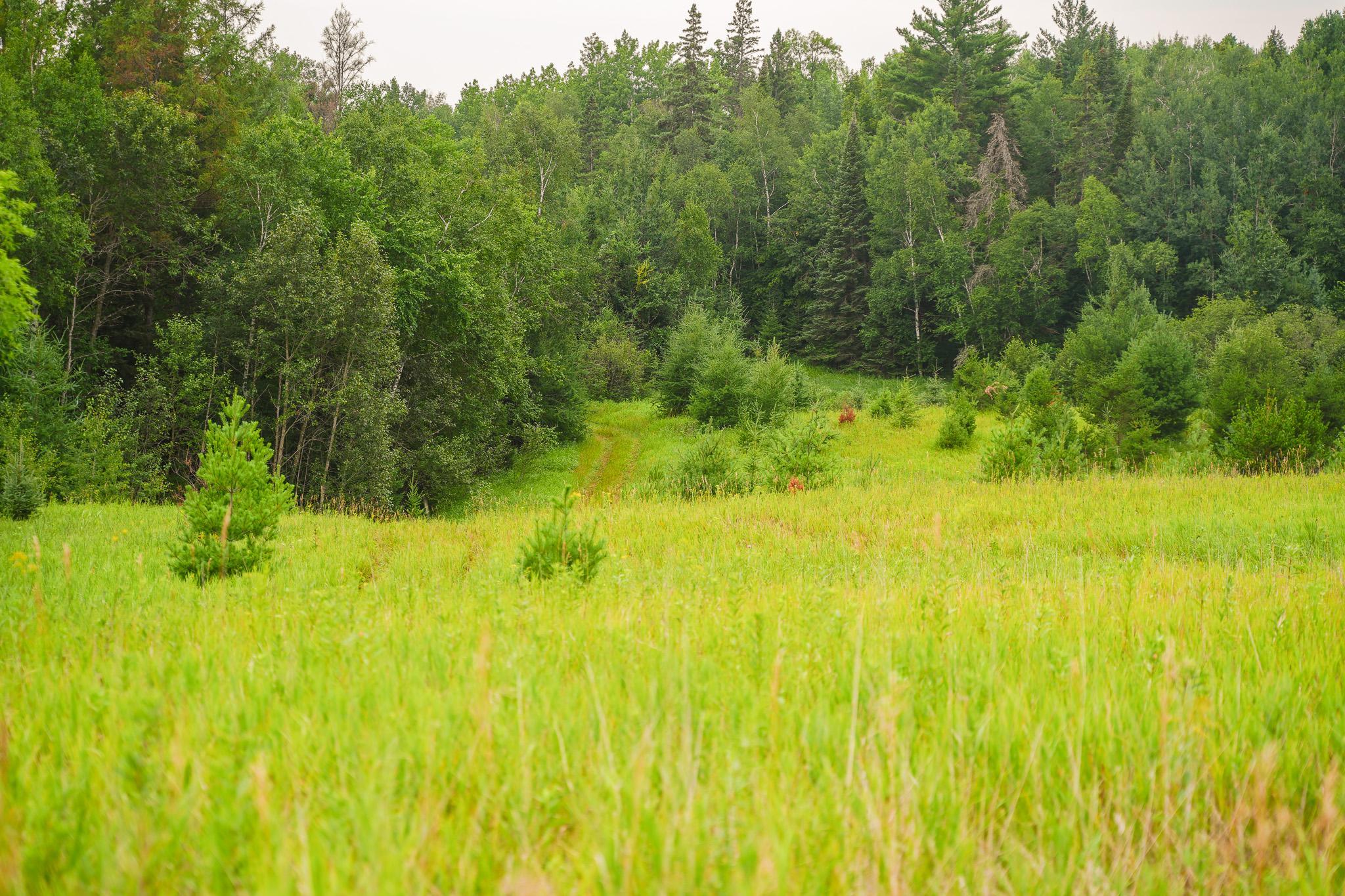 TBD Wilderness Drive, Frazee MN 56544 - Photo 55 of 85
