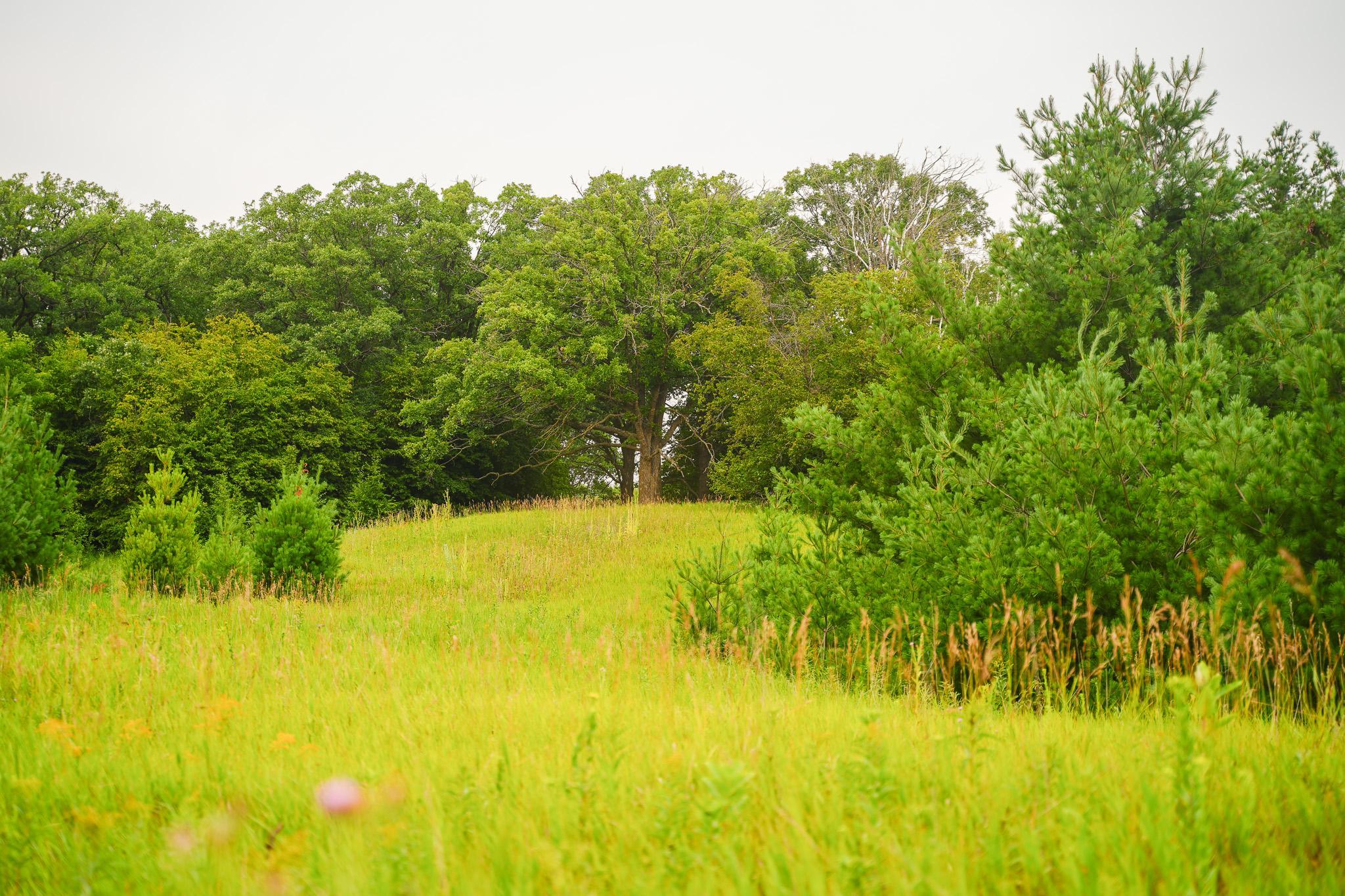 TBD Wilderness Drive, Frazee MN 56544 - Photo 56 of 85
