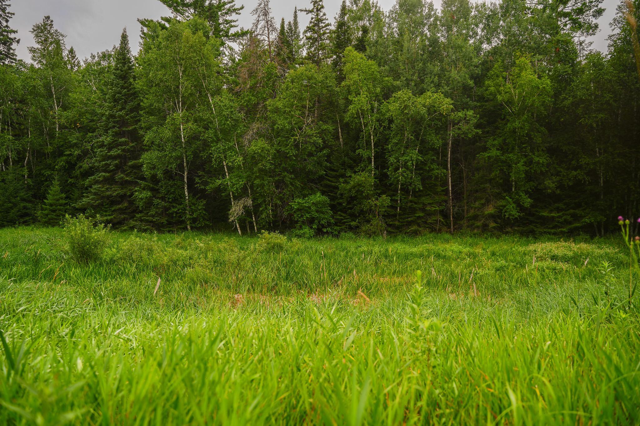 TBD Wilderness Drive, Frazee MN 56544 - Photo 57 of 85