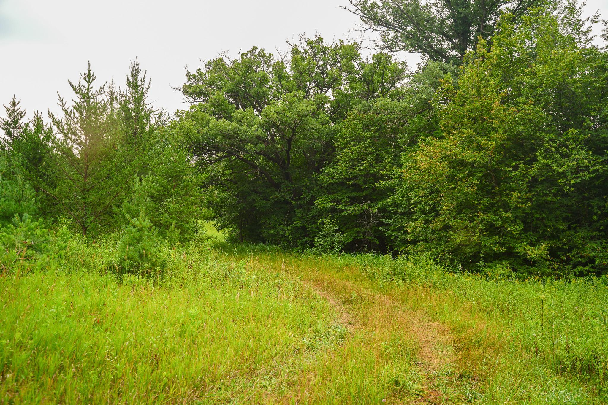 TBD Wilderness Drive, Frazee MN 56544 - Photo 59 of 85