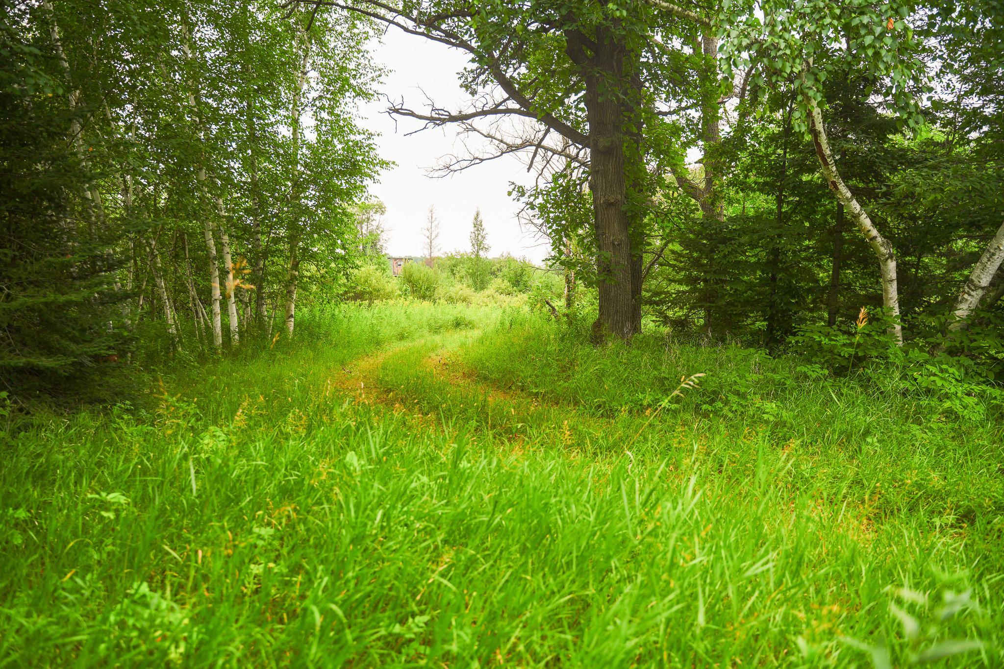 TBD Wilderness Drive, Frazee MN 56544 - Photo 61 of 85