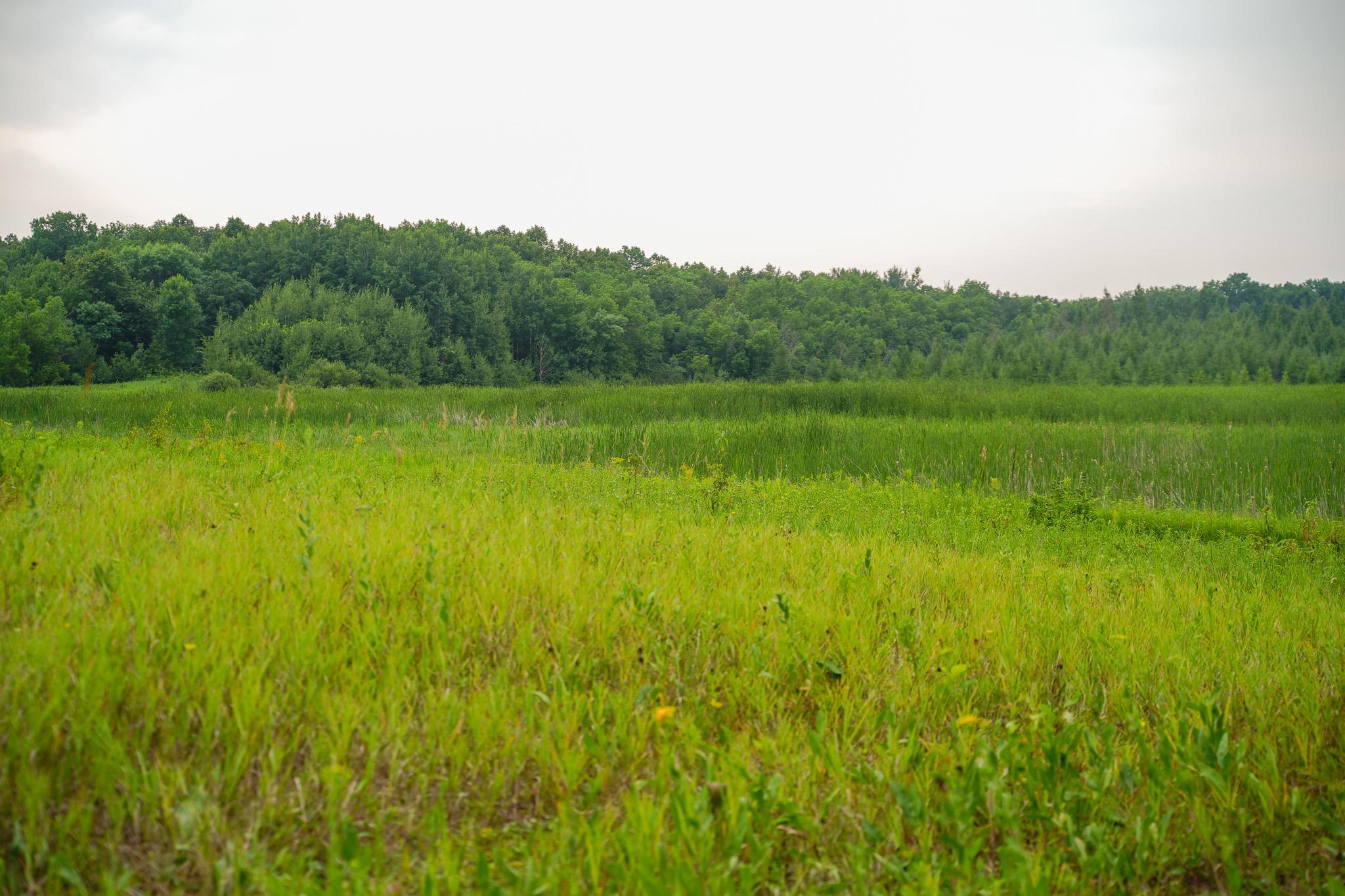 TBD Wilderness Drive, Frazee MN 56544 - Photo 63 of 85