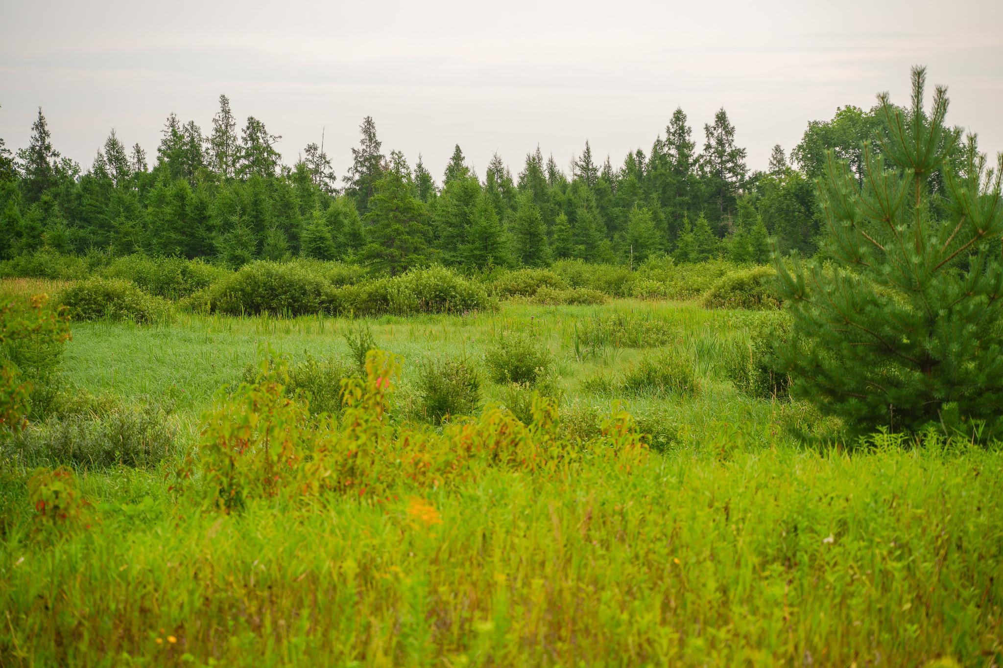 TBD Wilderness Drive, Frazee MN 56544 - Photo 64 of 85