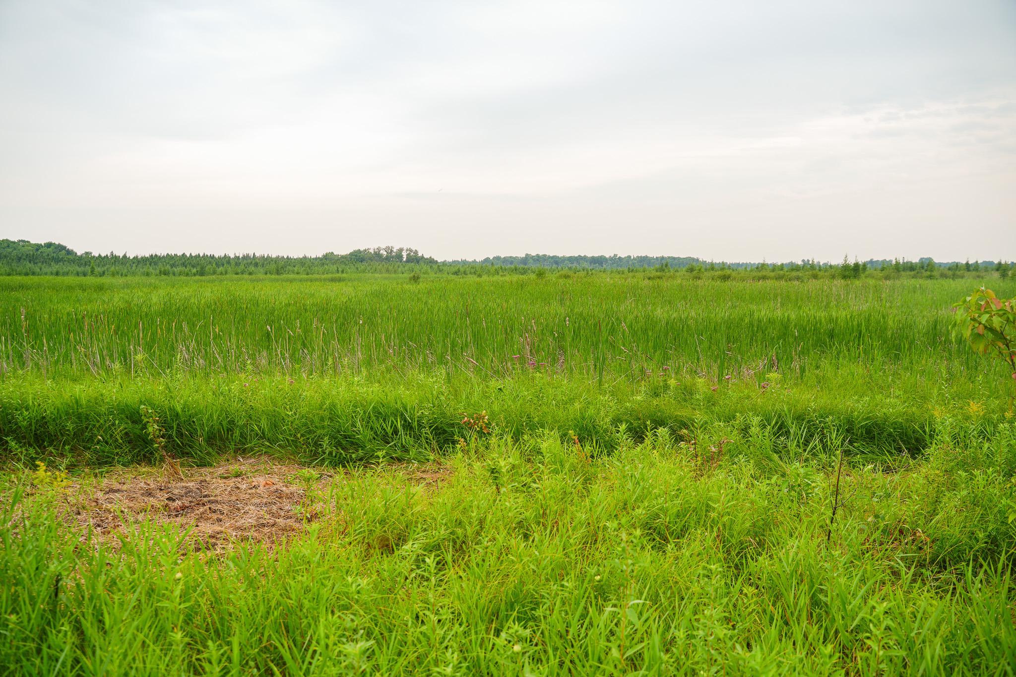 TBD Wilderness Drive, Frazee MN 56544 - Photo 65 of 85