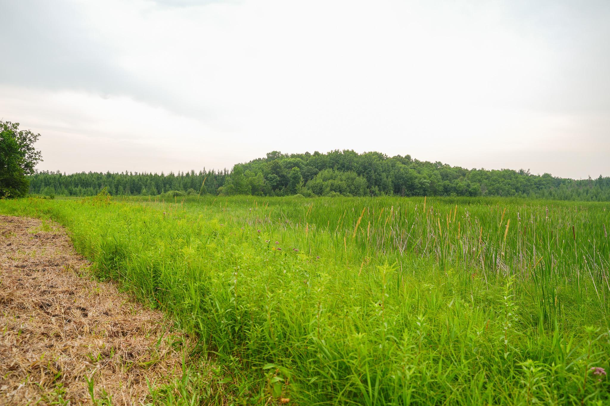 TBD Wilderness Drive, Frazee MN 56544 - Photo 66 of 85