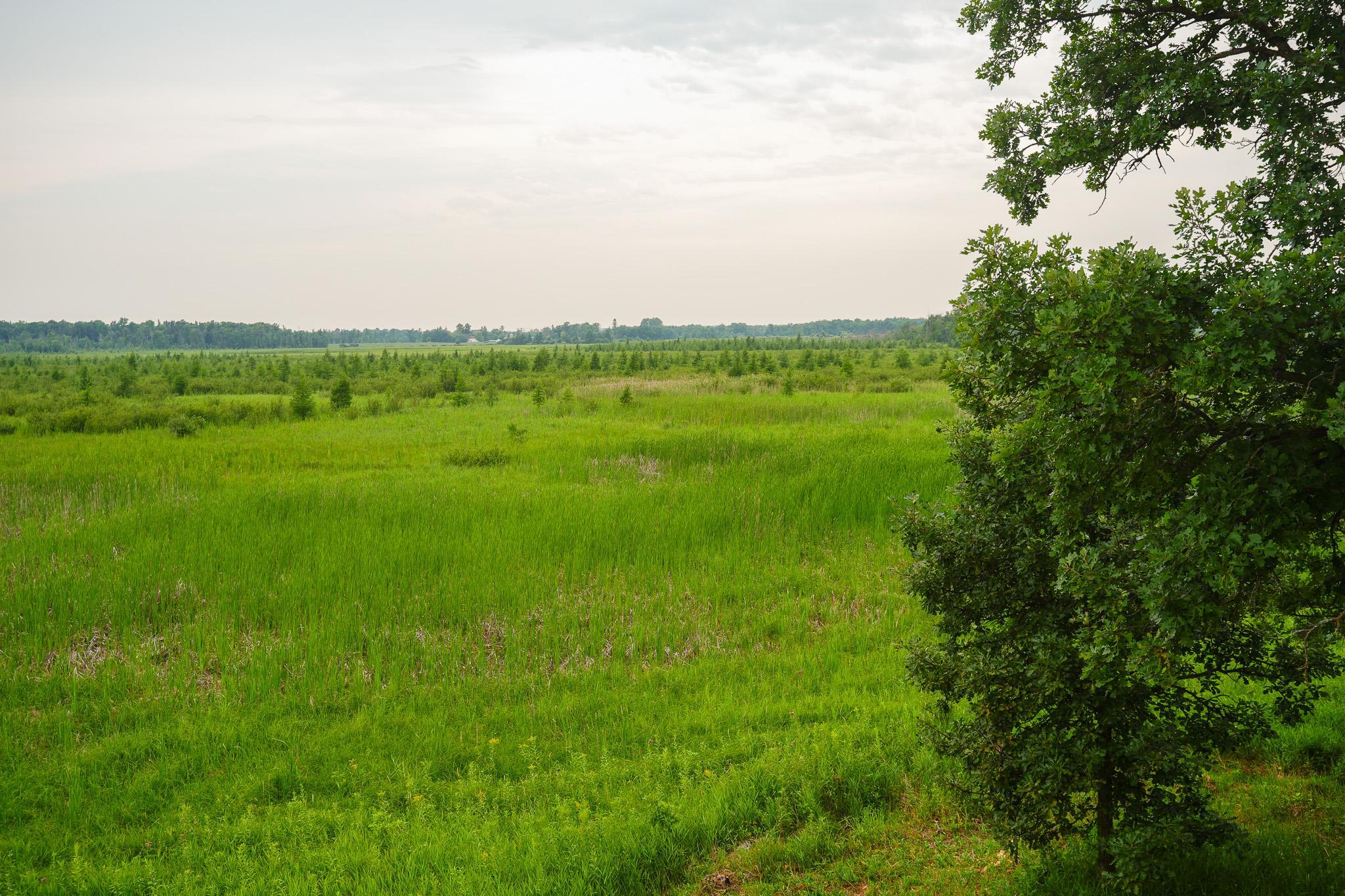 TBD Wilderness Drive, Frazee MN 56544 - Photo 68 of 85