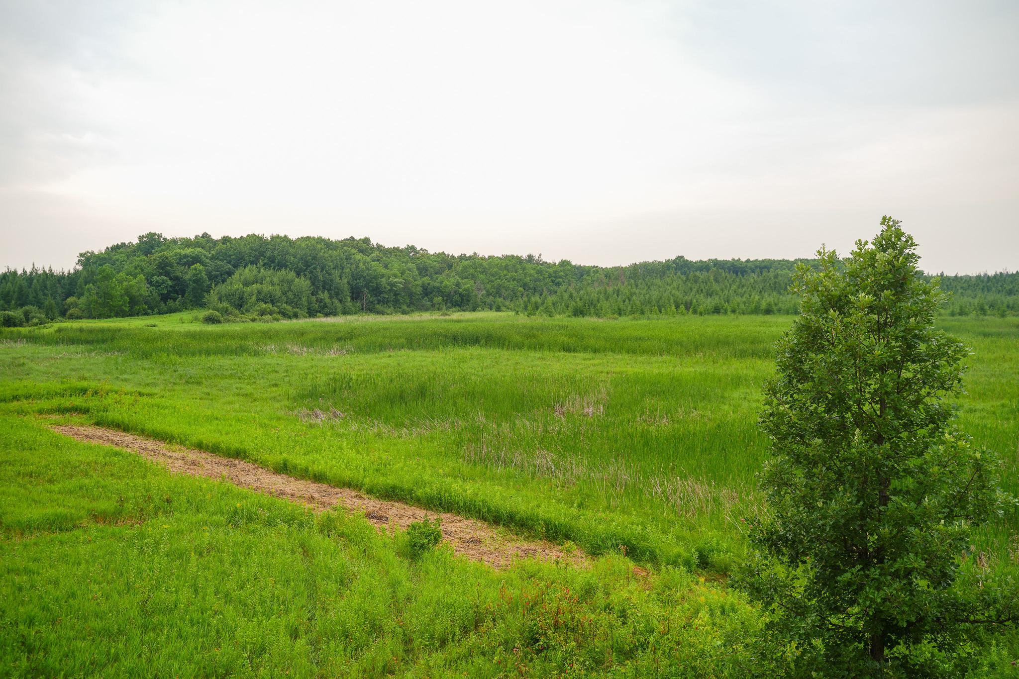 TBD Wilderness Drive, Frazee MN 56544 - Photo 69 of 85