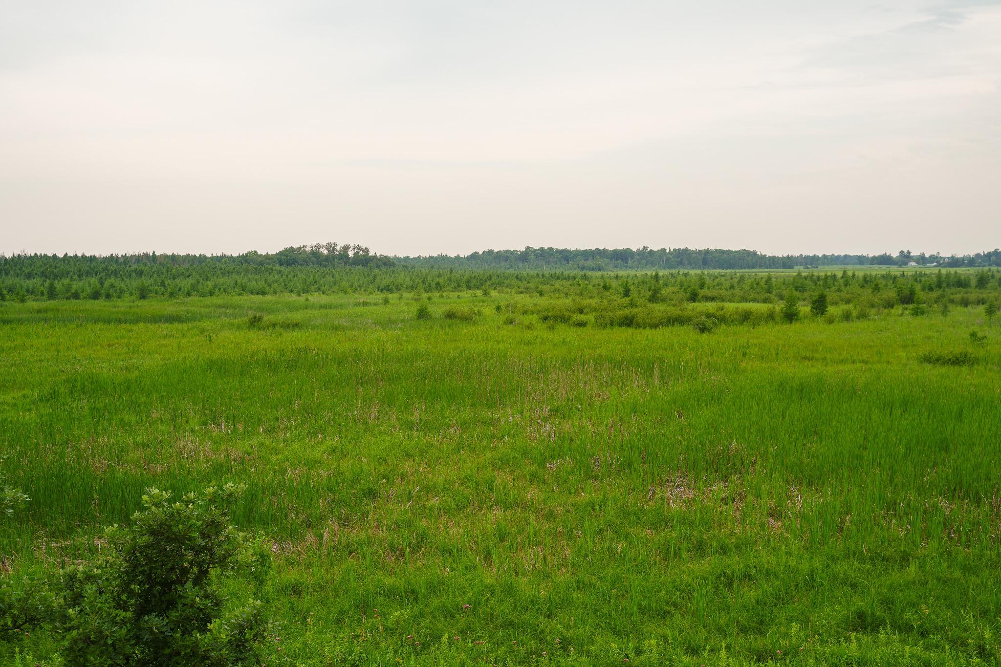 TBD Wilderness Drive, Frazee MN 56544 - Photo 70 of 85