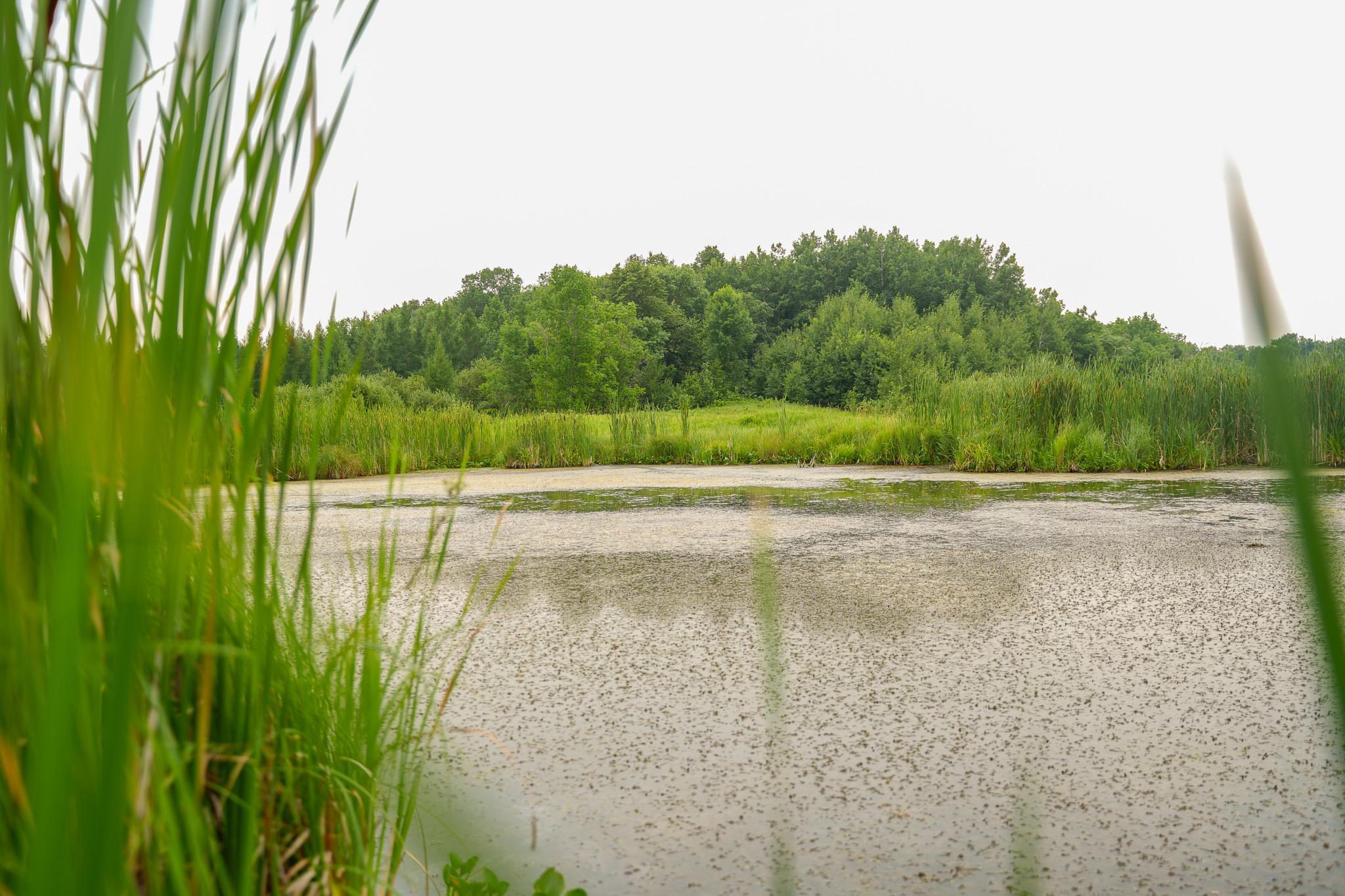 TBD Wilderness Drive, Frazee MN 56544 - Photo 72 of 85