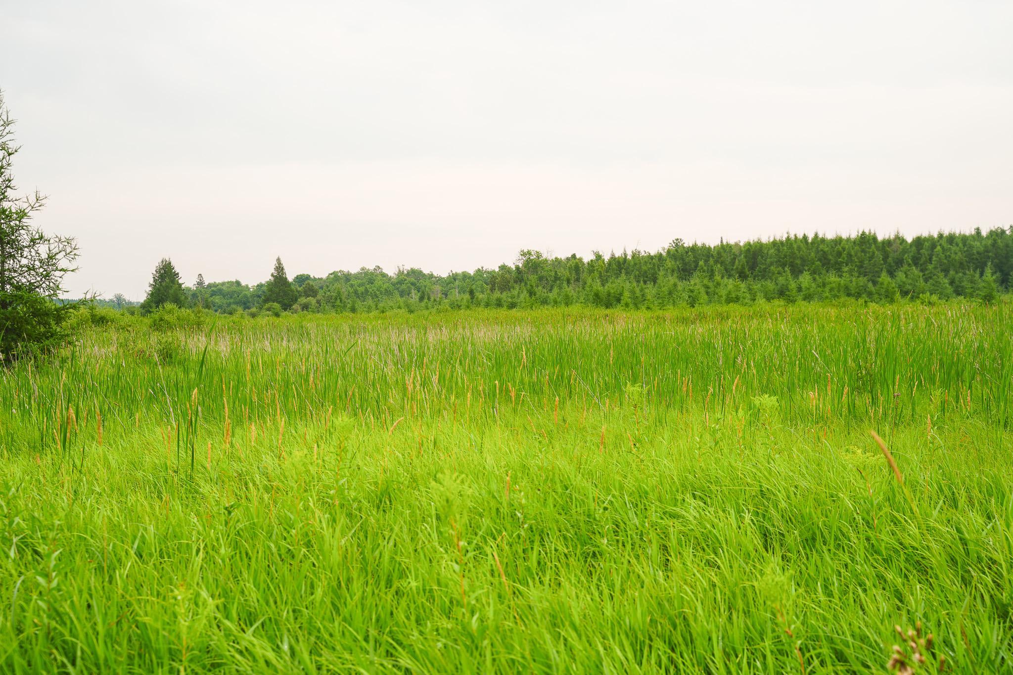 TBD Wilderness Drive, Frazee MN 56544 - Photo 74 of 85