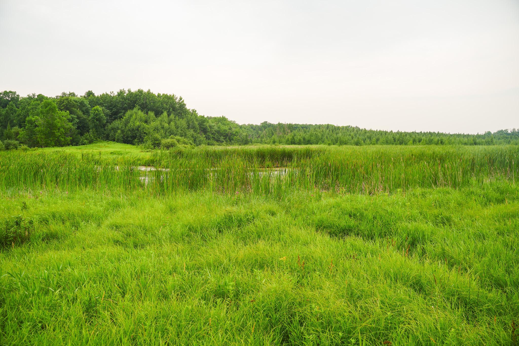 TBD Wilderness Drive, Frazee MN 56544 - Photo 75 of 85