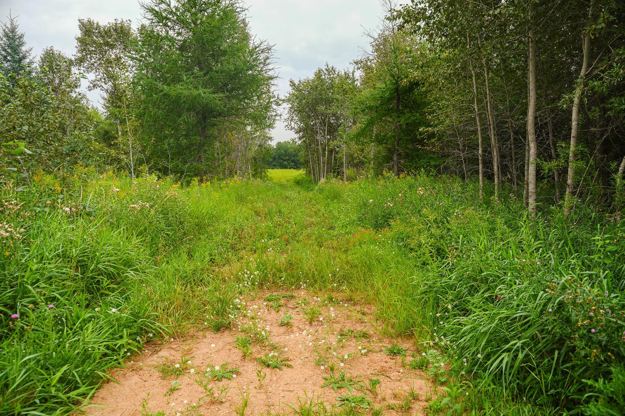 TBD Wilderness Drive, Frazee MN 56544 - Photo 76 of 85