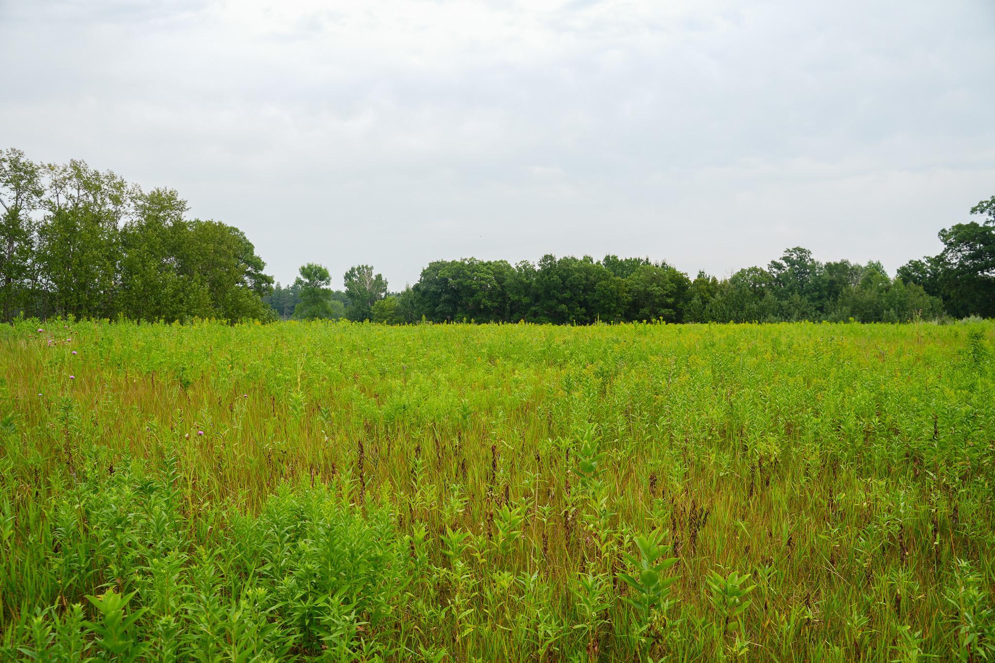 TBD Wilderness Drive, Frazee MN 56544 - Photo 77 of 85