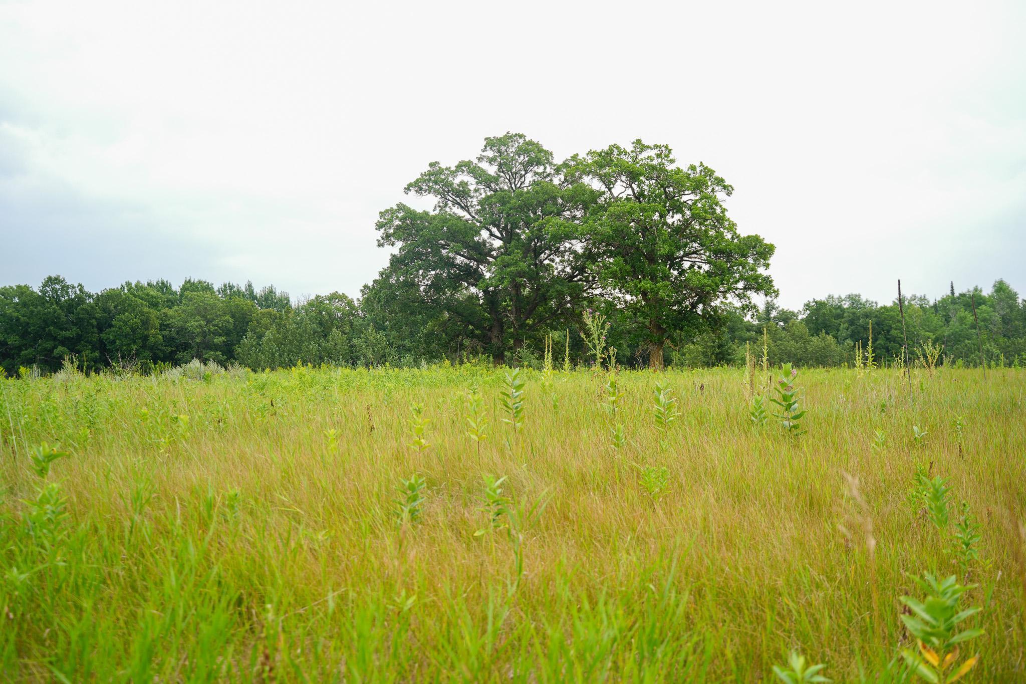 TBD Wilderness Drive, Frazee MN 56544 - Photo 78 of 85