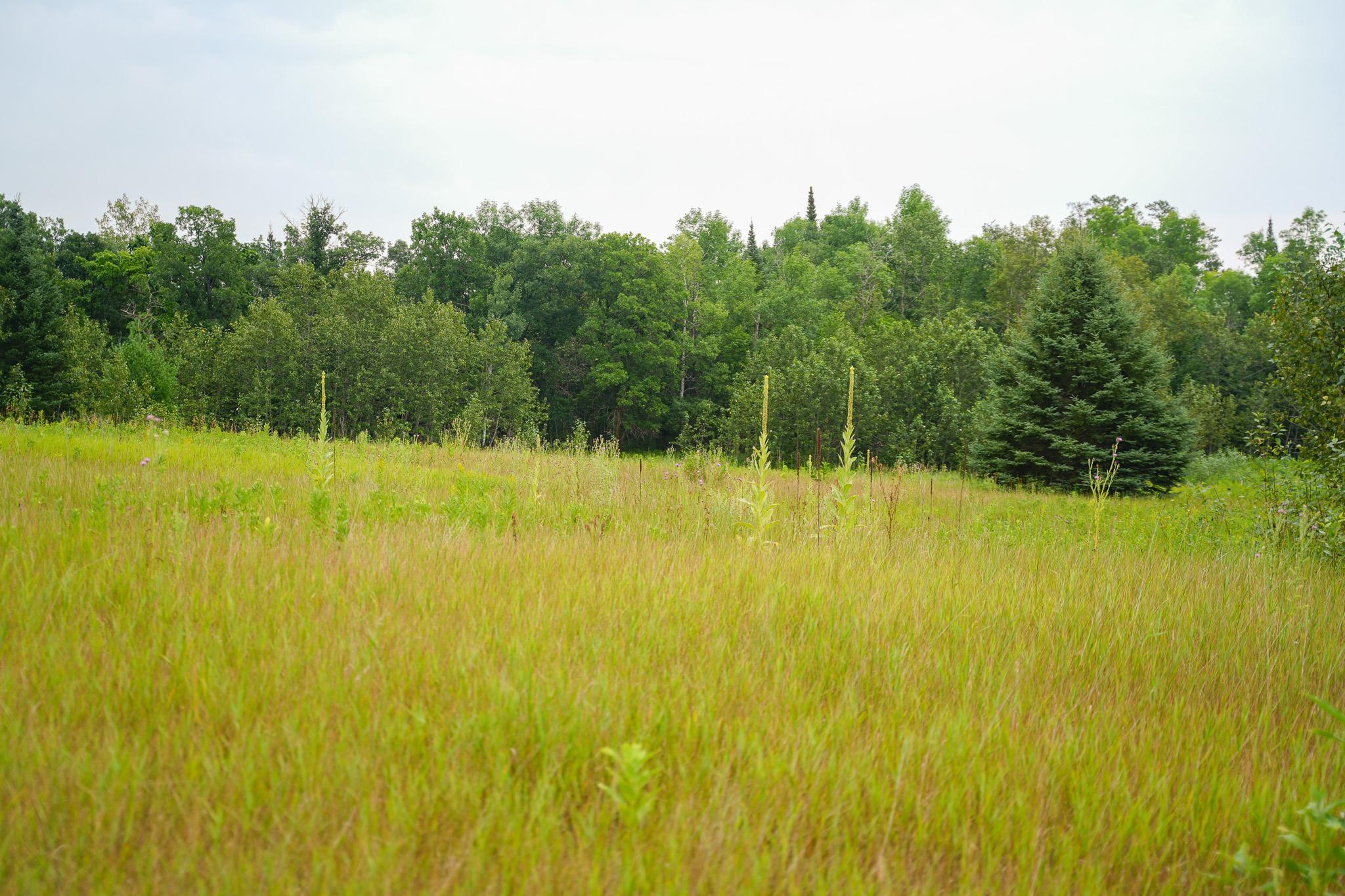 TBD Wilderness Drive, Frazee MN 56544 - Photo 79 of 85