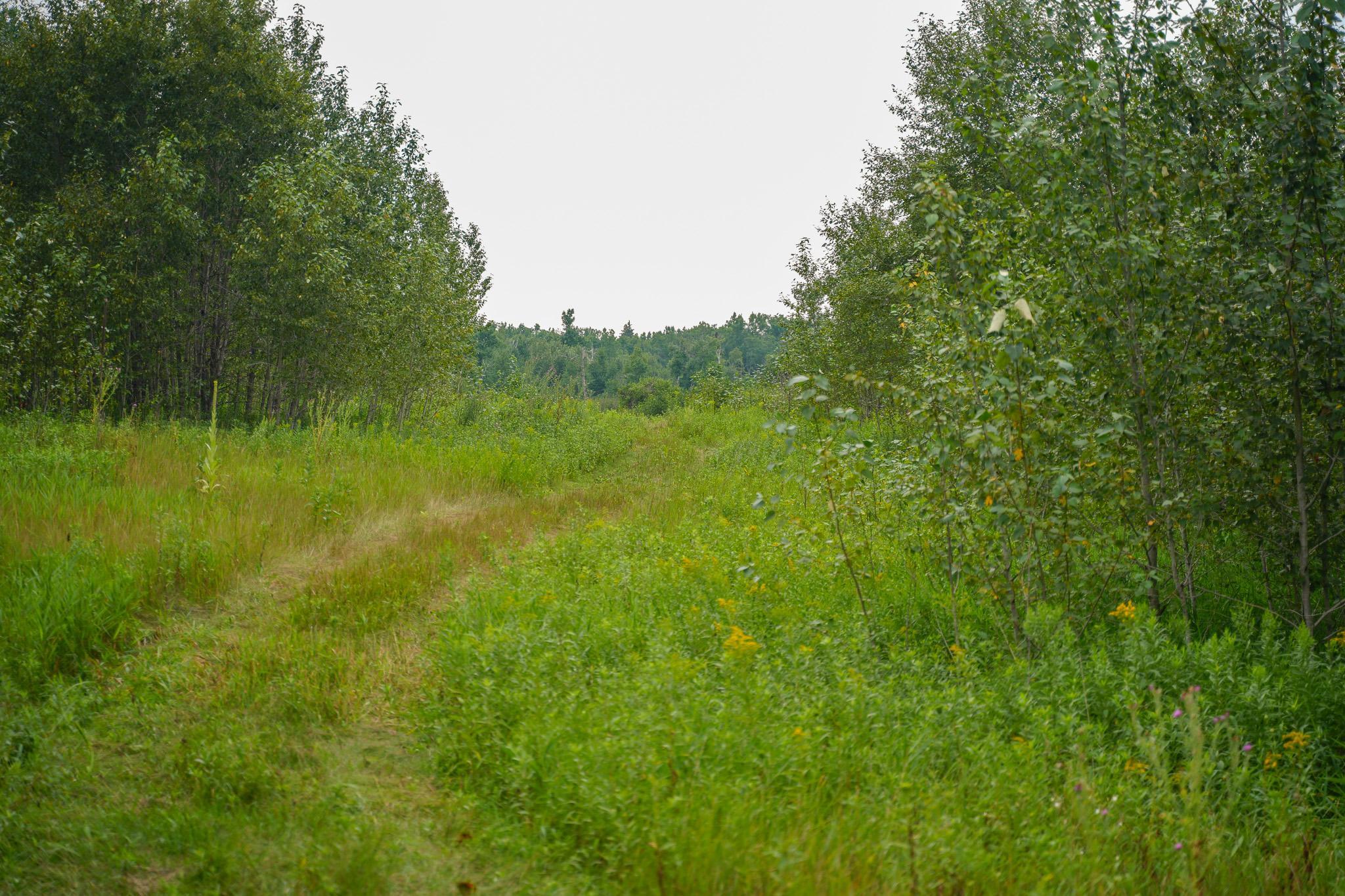 TBD Wilderness Drive, Frazee MN 56544 - Photo 80 of 85