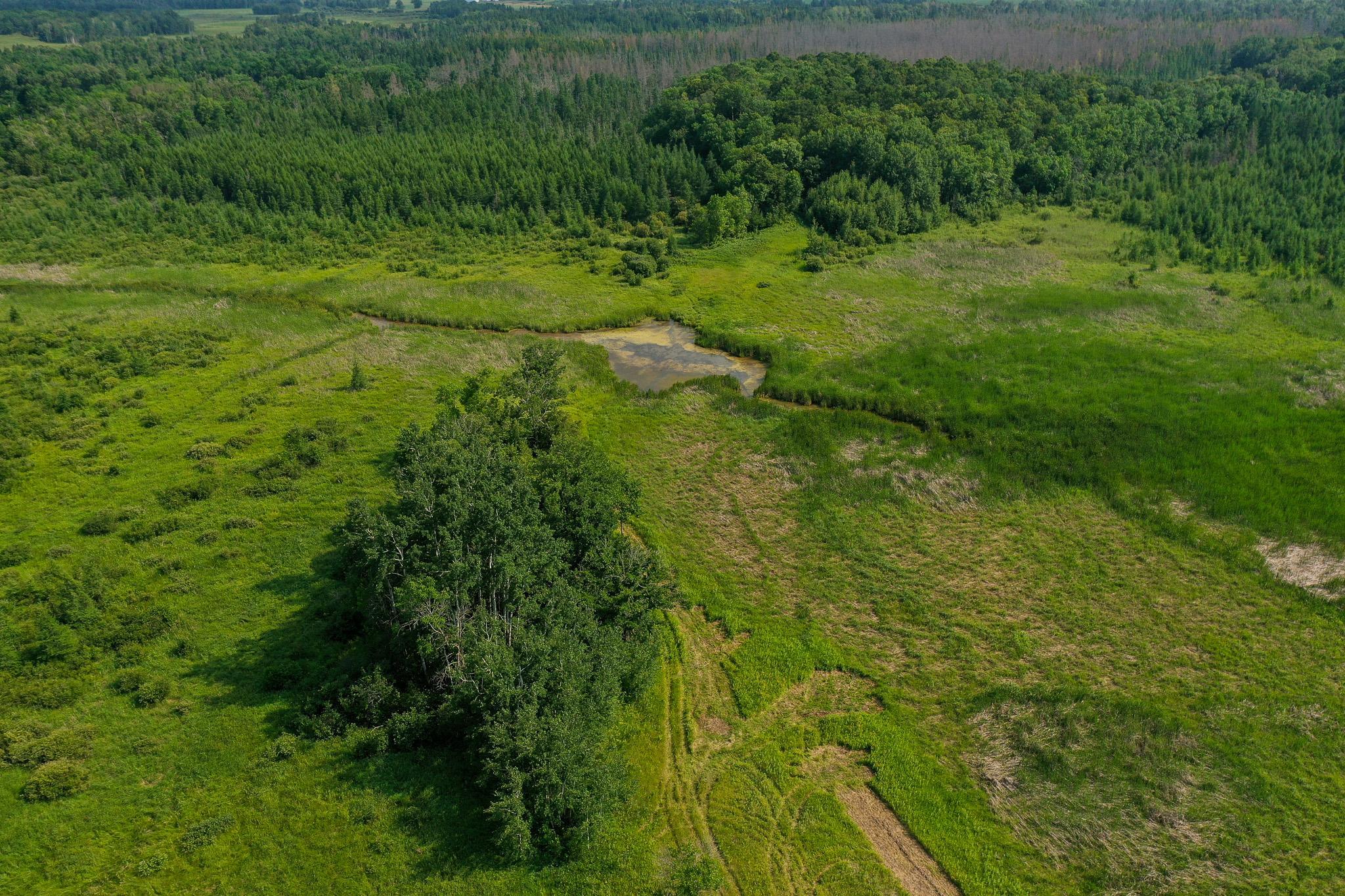 TBD Wilderness Drive, Frazee MN 56544 - Photo 9 of 85