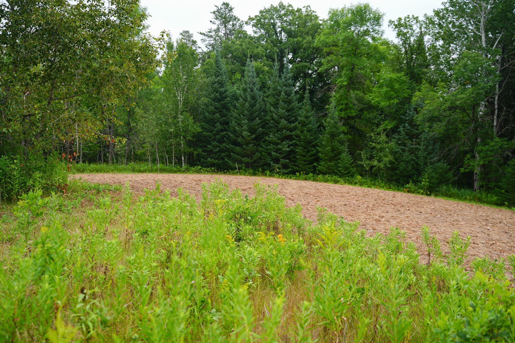 TBD Wilderness Drive, Frazee MN 56544 - Photo 81 of 85