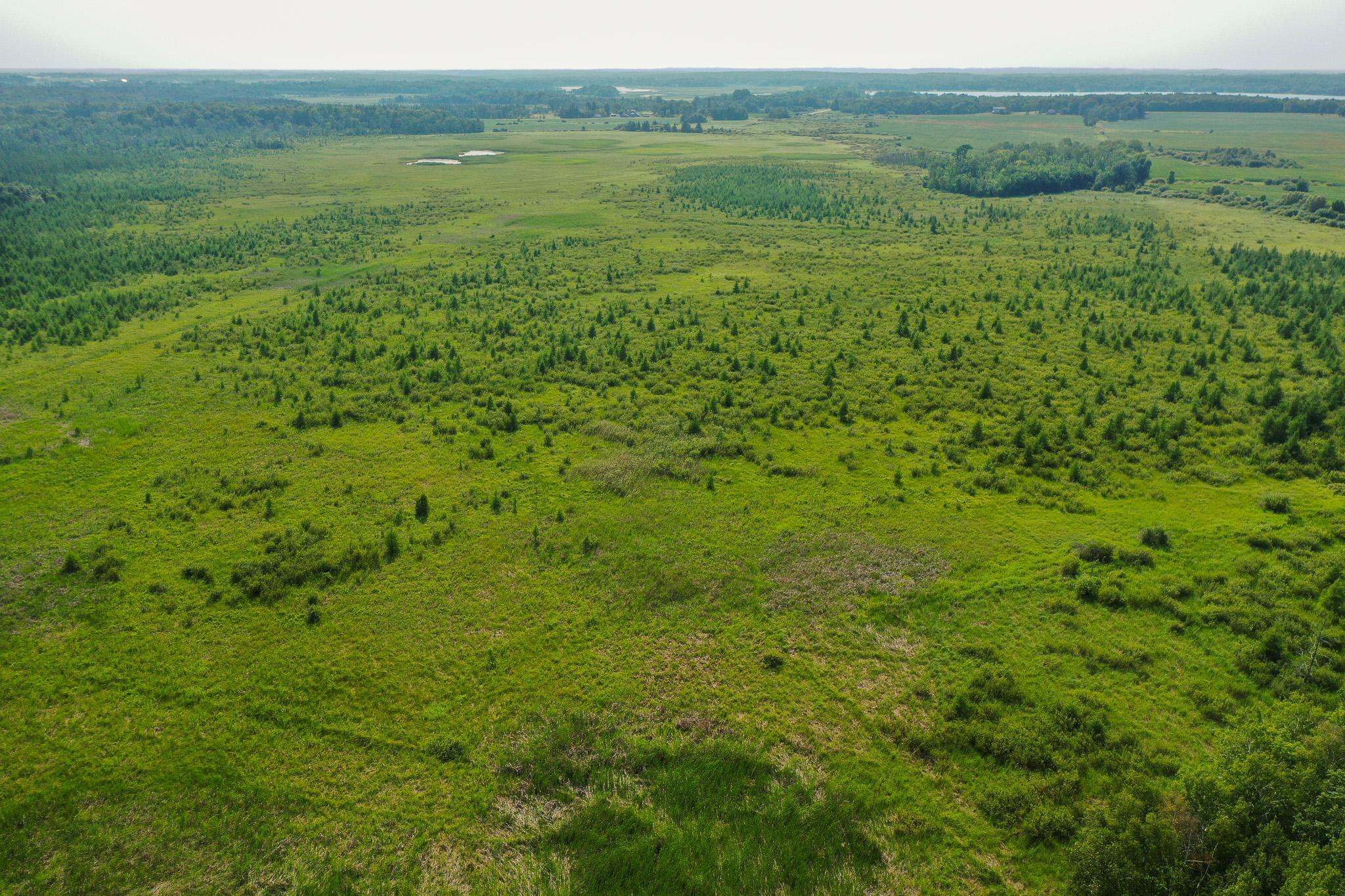 TBD Wilderness Drive, Frazee MN 56544 - Photo 10 of 85