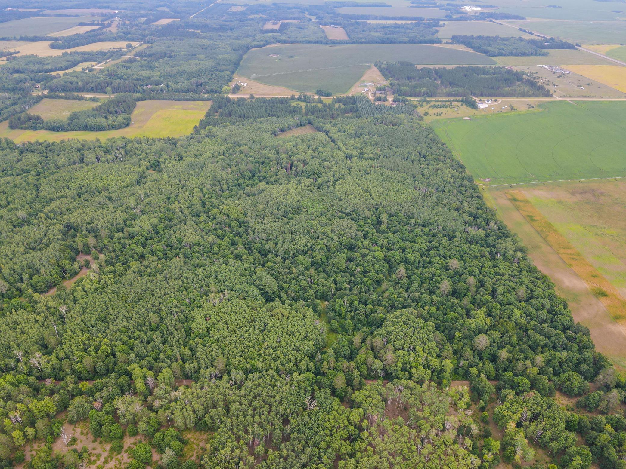 TBD County Road 125, Park Rapids MN 56470 - Photo 3 of 9