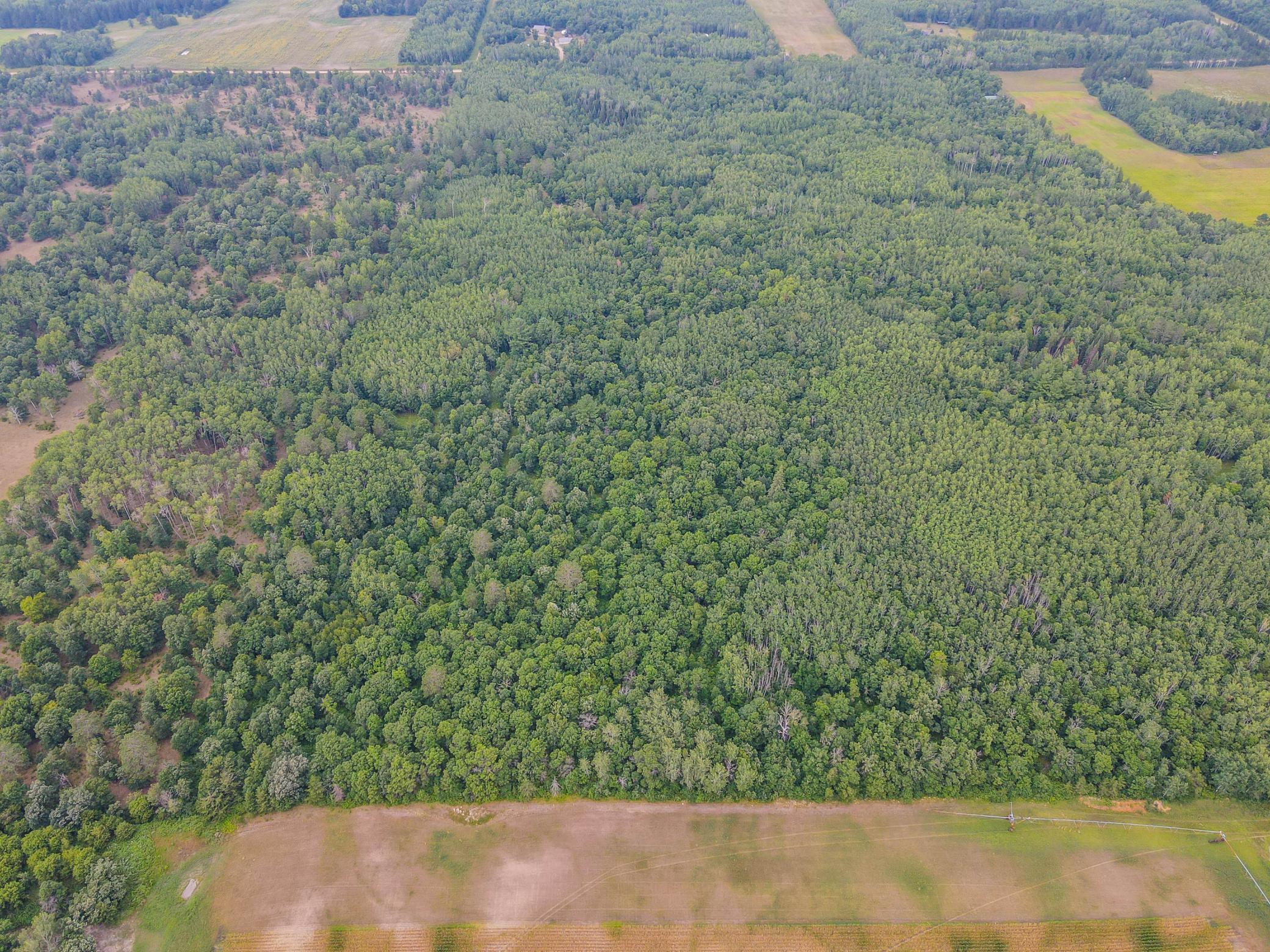TBD County Road 125, Park Rapids MN 56470 - Photo 4 of 9