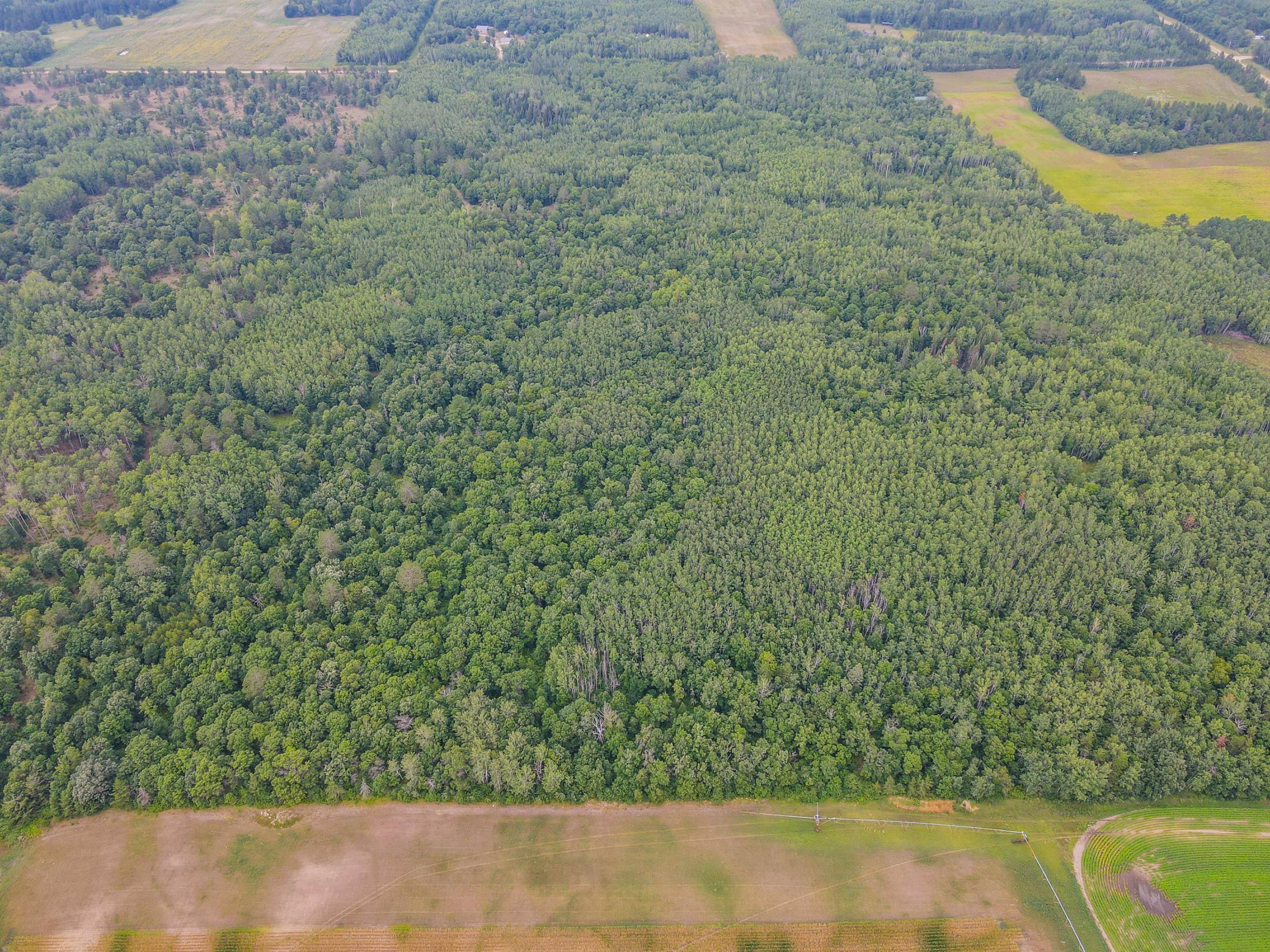 TBD County Road 125, Park Rapids MN 56470 - Photo 5 of 9
