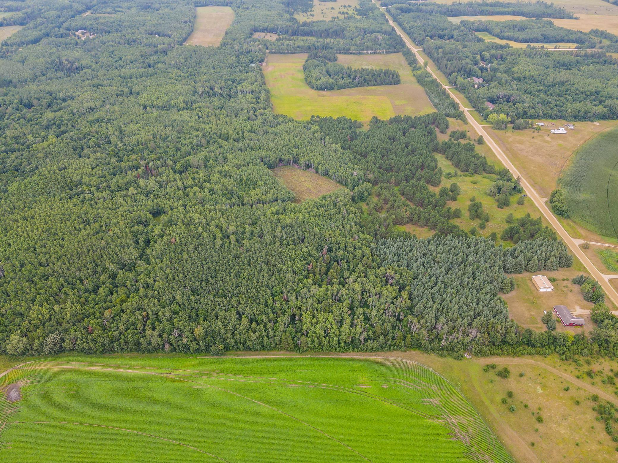 TBD County Road 125, Park Rapids MN 56470 - Photo 6 of 9