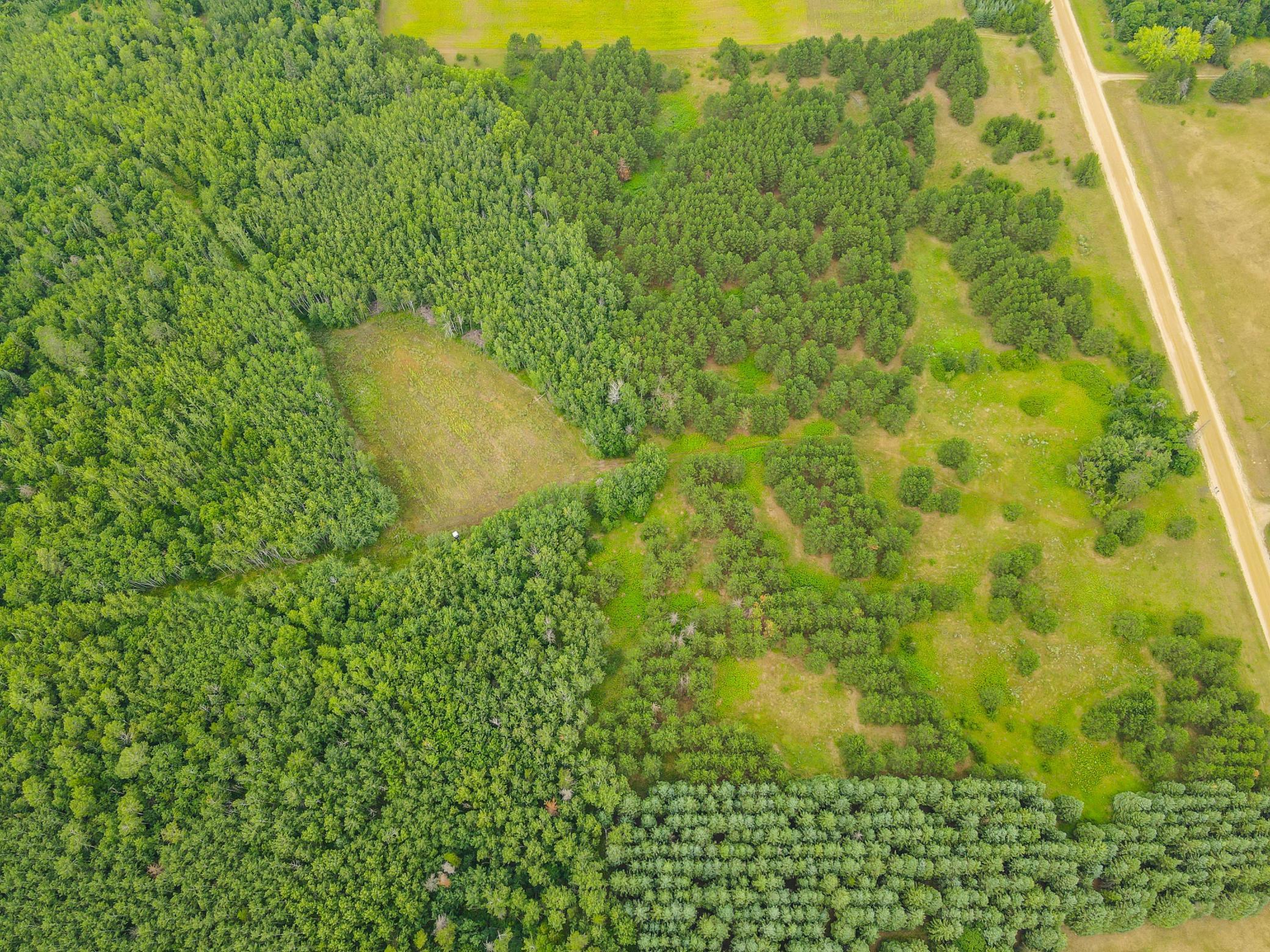 TBD County Road 125, Park Rapids MN 56470 - Photo 9 of 9