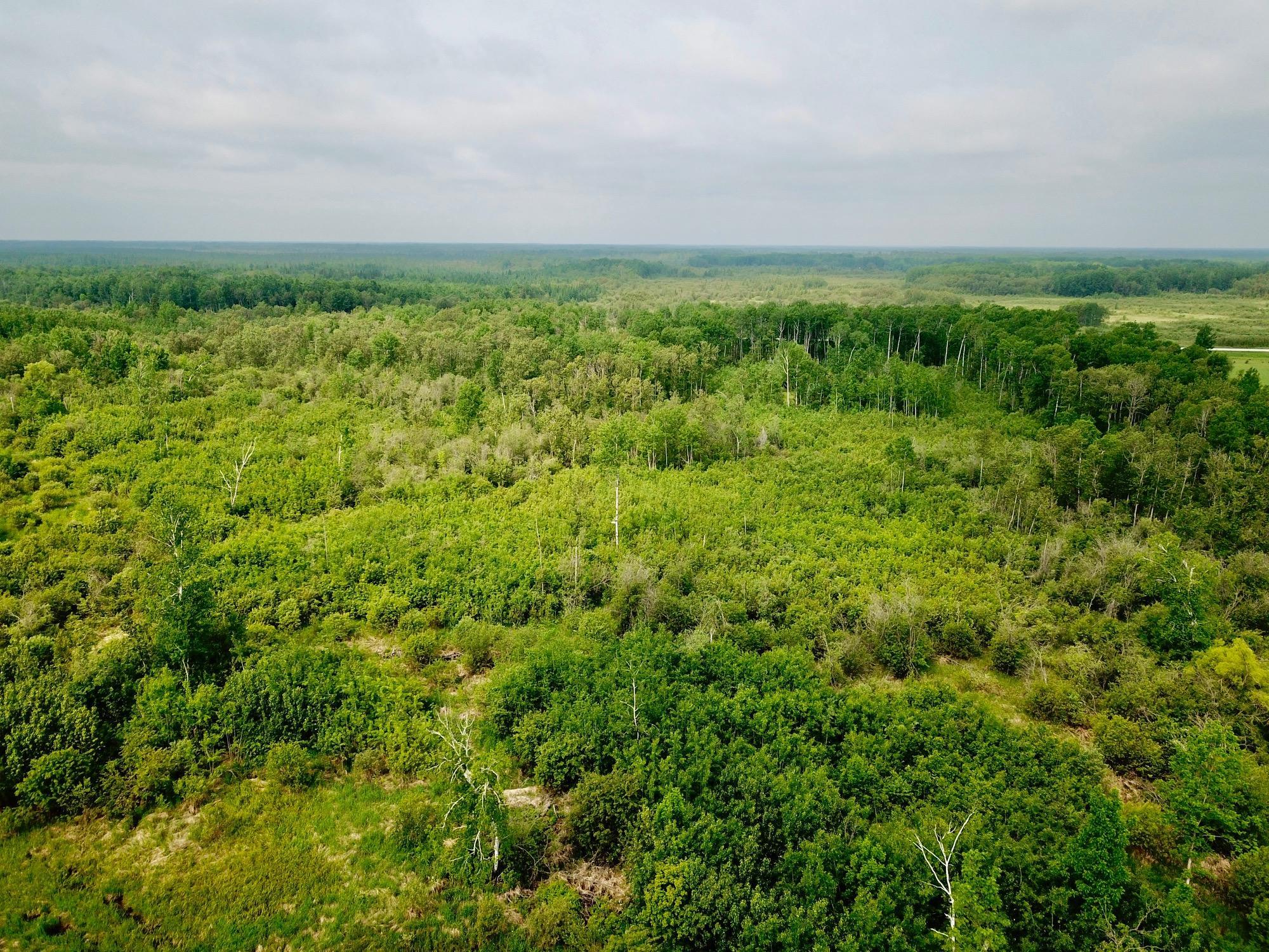 2006 single family home for sale at 3274 County Road 1 SW in Baudette, MN — 0 bed, 0 bath (photo 19 of 26)