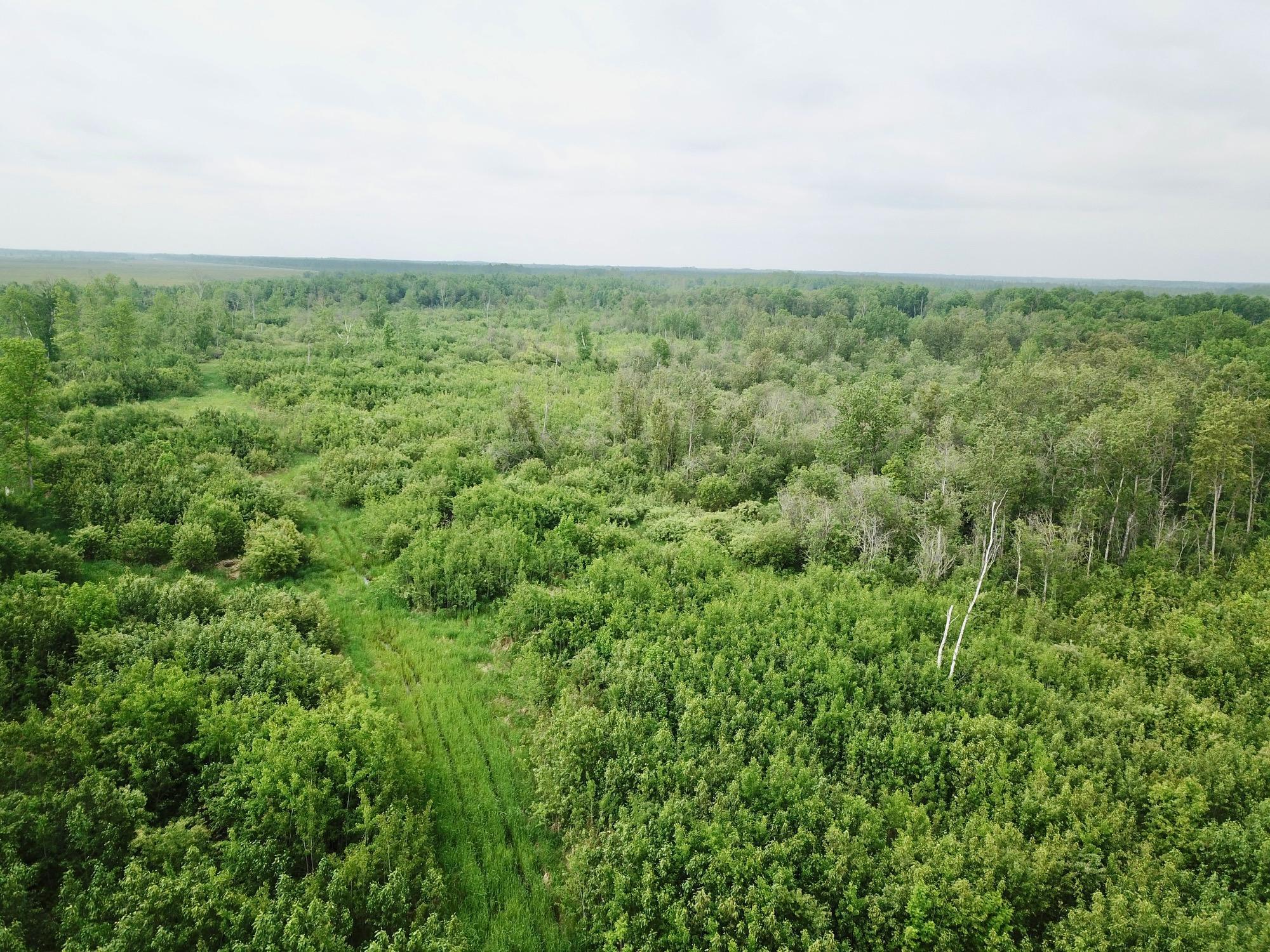 2006 single family home for sale at 3274 County Road 1 SW in Baudette, MN — 0 bed, 0 bath (photo 20 of 26)