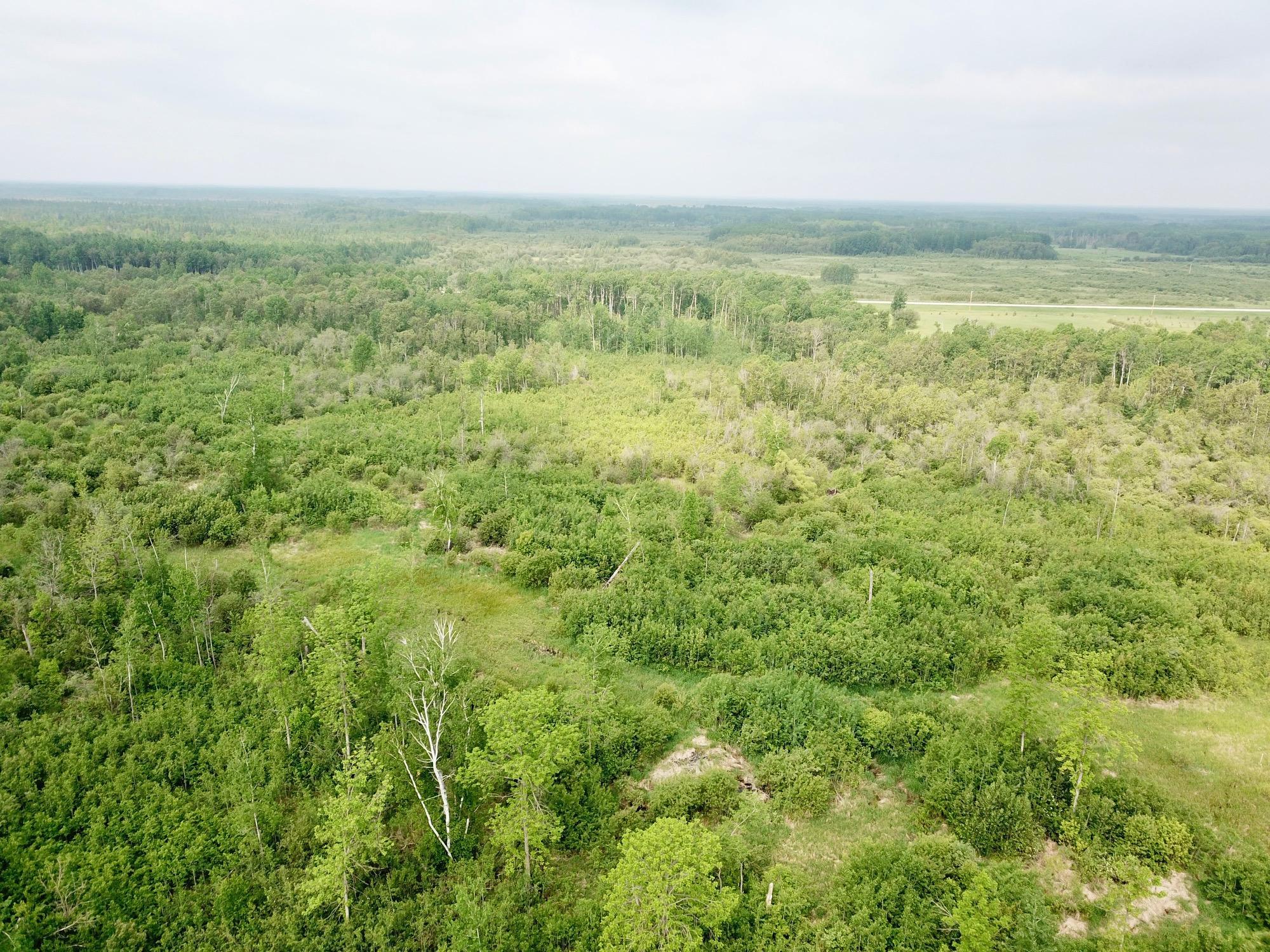 2006 single family home for sale at 3274 County Road 1 SW in Baudette, MN — 0 bed, 0 bath (photo 22 of 26)