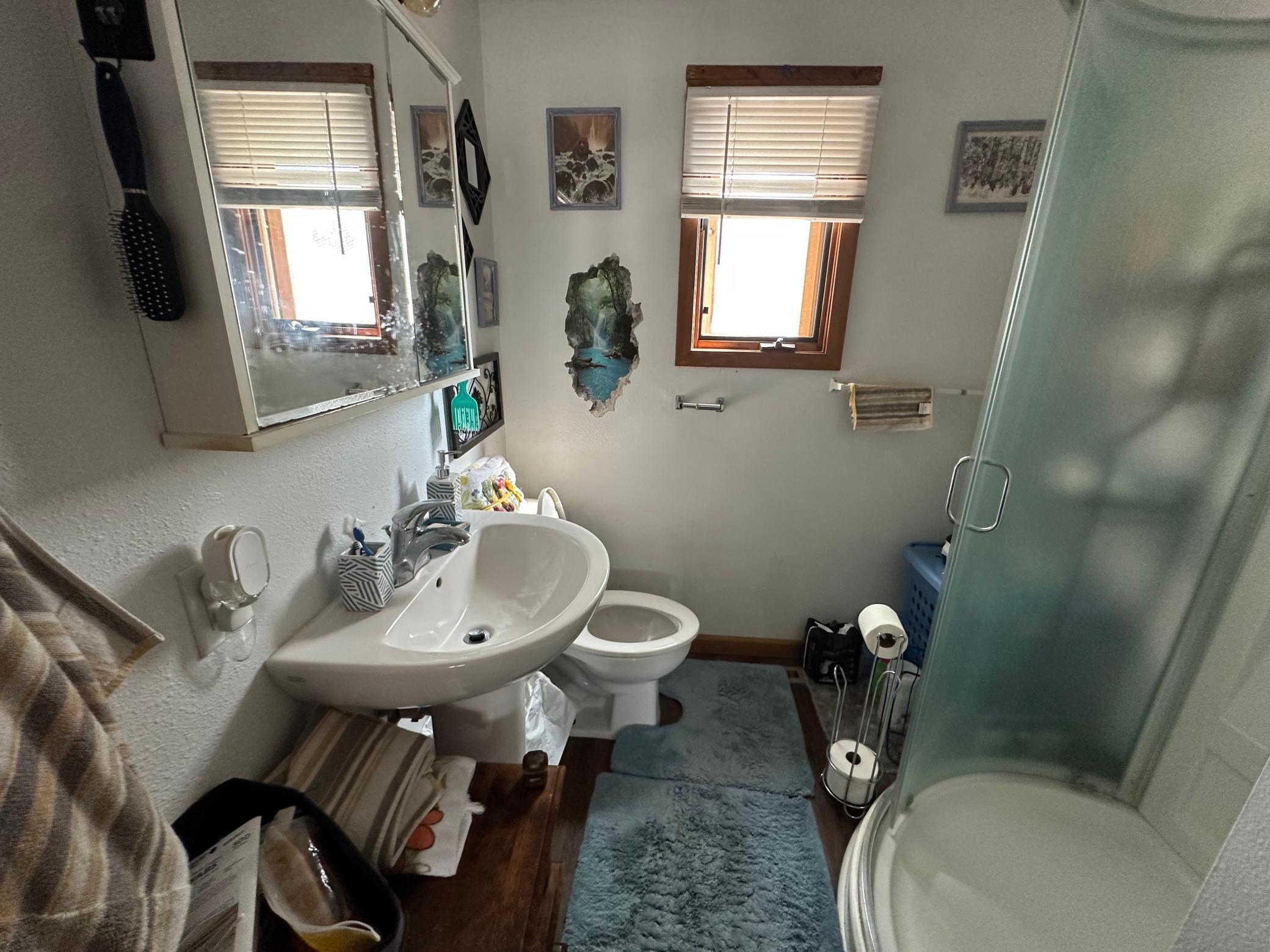 1890 single family home for sale at 314 4th Street E in Thief River Falls, MN — 3 bed, 1 bath (photo 6 of 7)