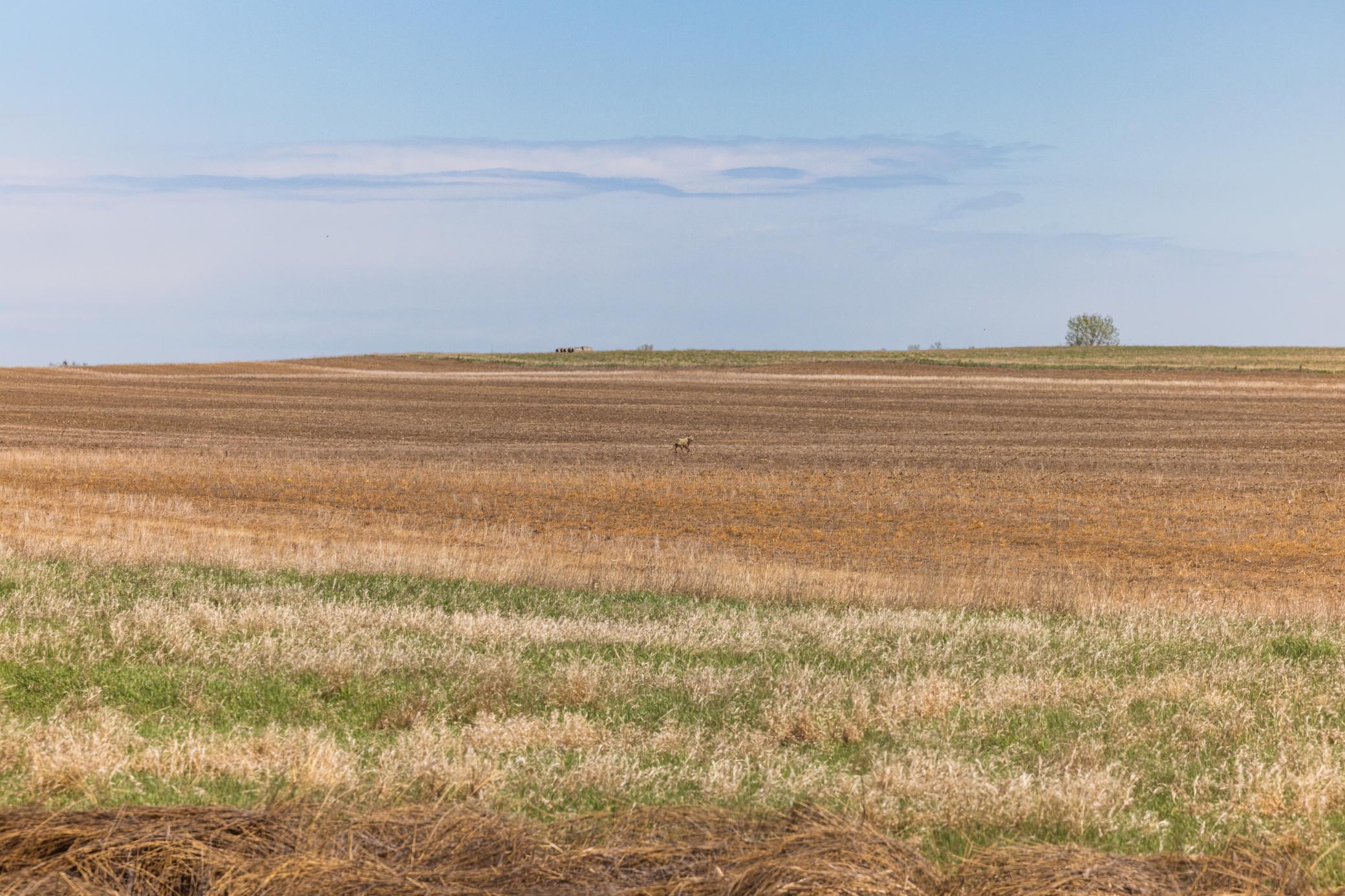 Tbd Sec 24 2 Ave Se Lot 1, North Lemmon ND 58639 - Photo 2 of 19