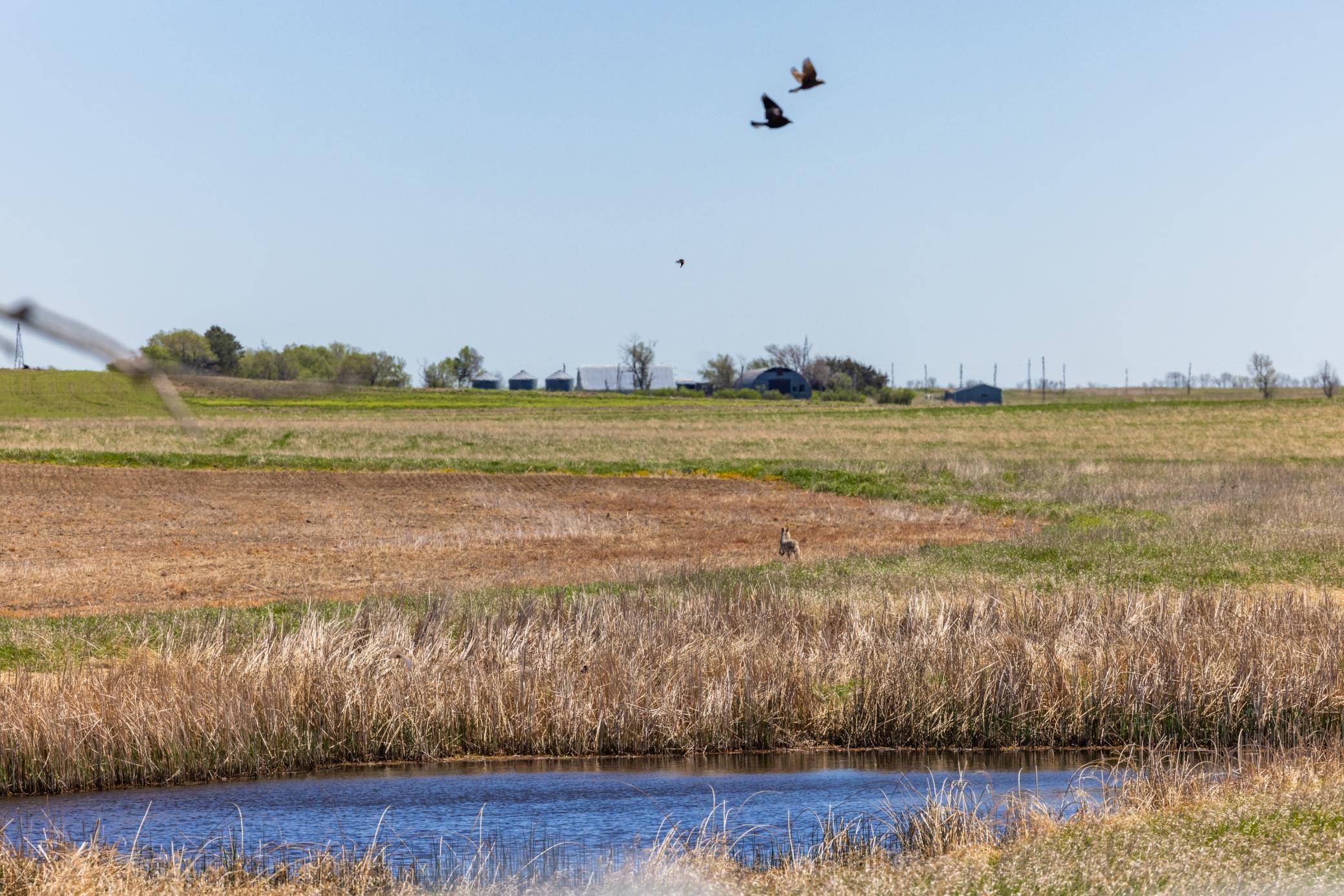 Tbd Sec 24 2 Ave Se Lot 1, North Lemmon ND 58639 - Photo 4 of 19