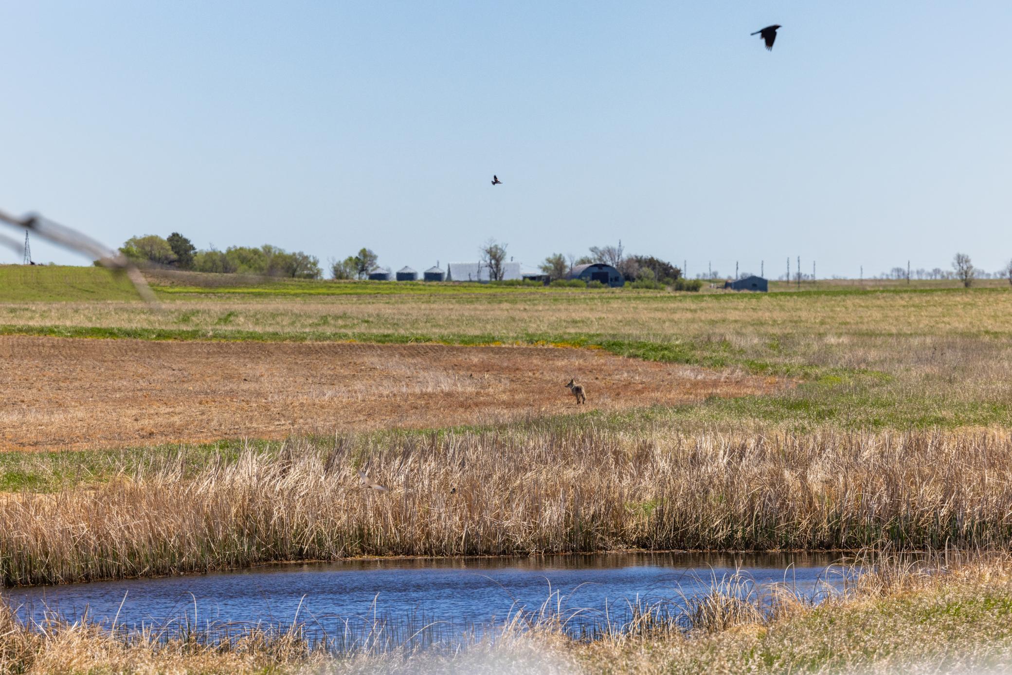 Tbd Sec 24 2 Ave Se Lot 1, North Lemmon ND 58639 - Photo 5 of 19