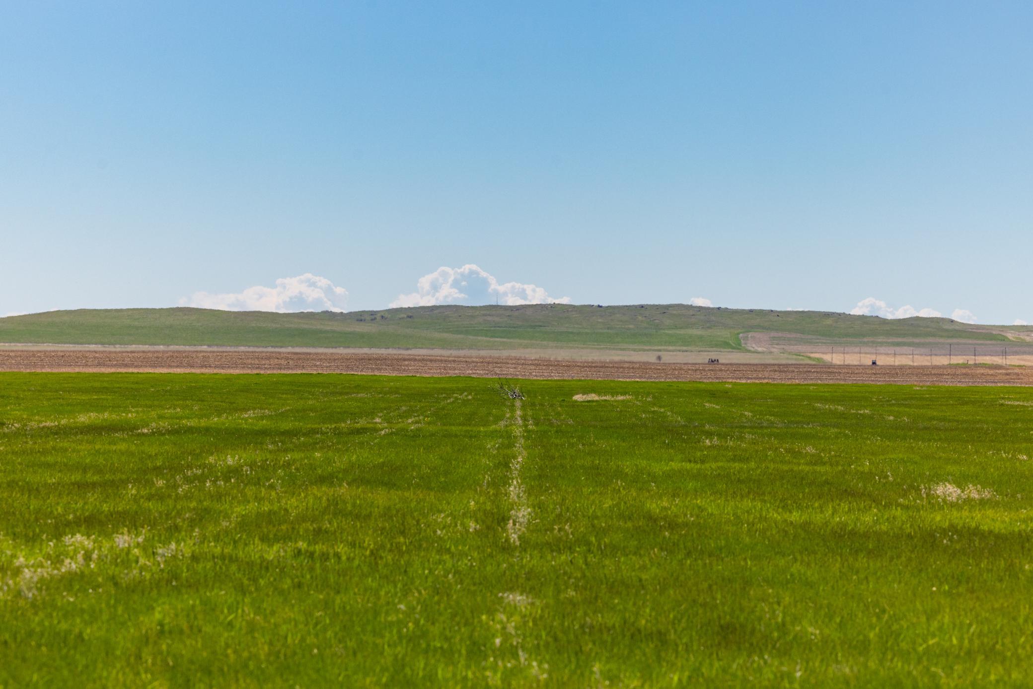 Tbd Sec 24 2 Ave Se Lot 1, North Lemmon ND 58639 - Photo 8 of 19