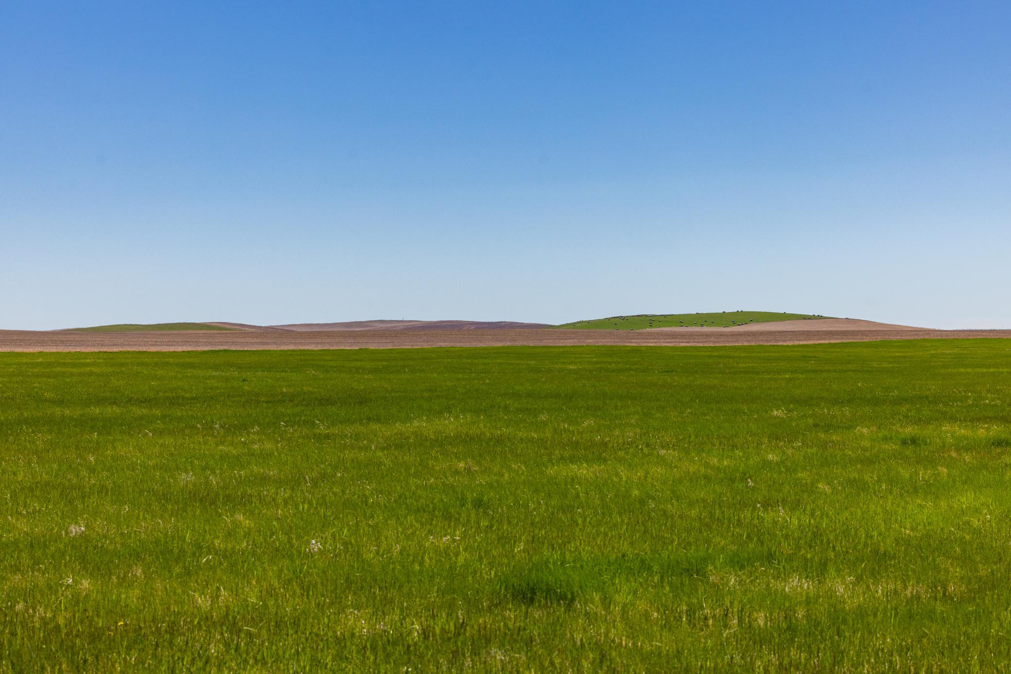 Tbd Sec 24 2 Ave Se Lot 1, North Lemmon ND 58639 - Photo 9 of 19